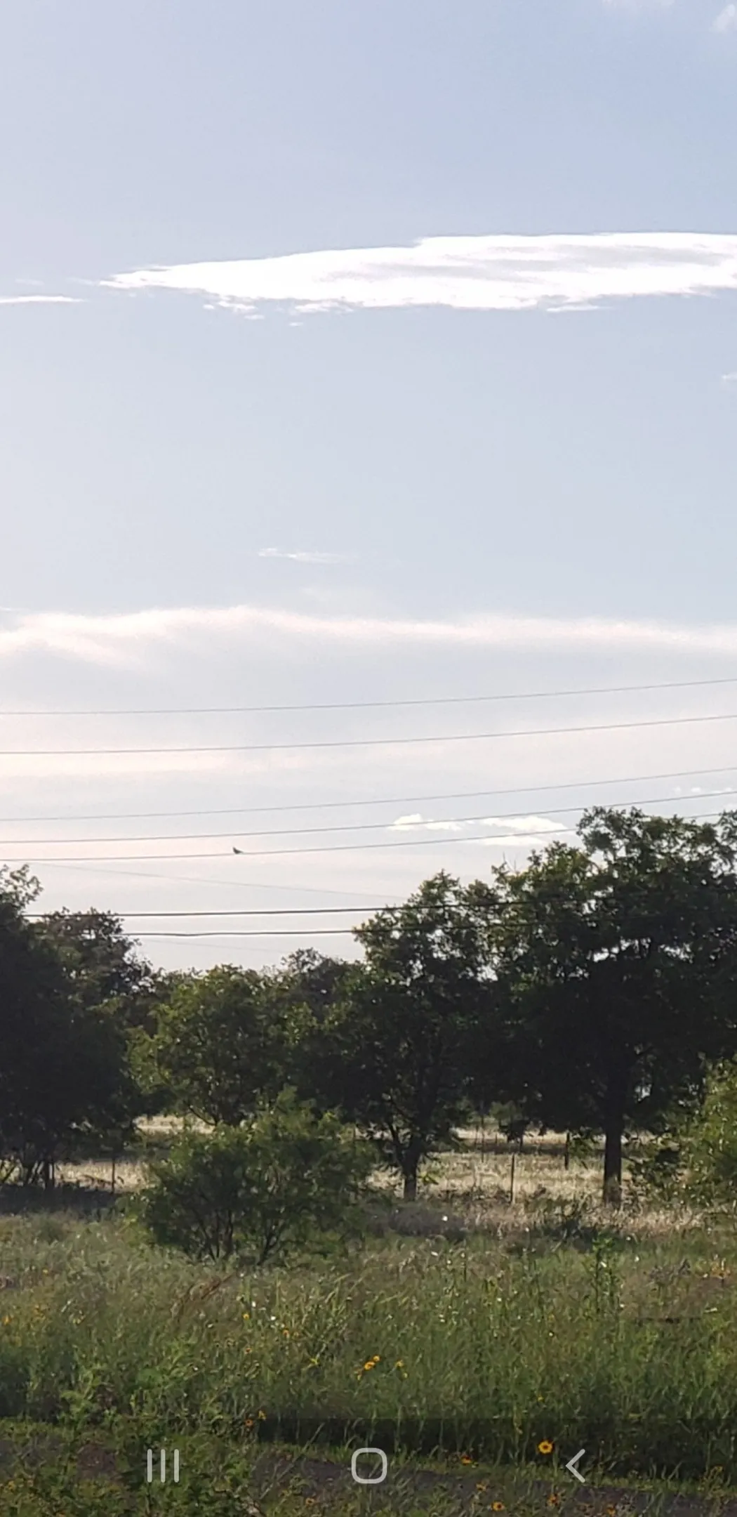 Unimproved Land For Sale in Brown County , TBD County Road 183 Road, Bangs, Texas 76823, 0, 0, Garage spaces, 0 Sqft, built in 0, Price $70,000, mls#21319265, Real Estate Agent in Bangs, Homes For Sale in Brown county, Homes For Sale in Bangs, Realtor in Bangs Texas, Real Estate Brokerage Independent Realty Texas, Luminita Cordes Realtor