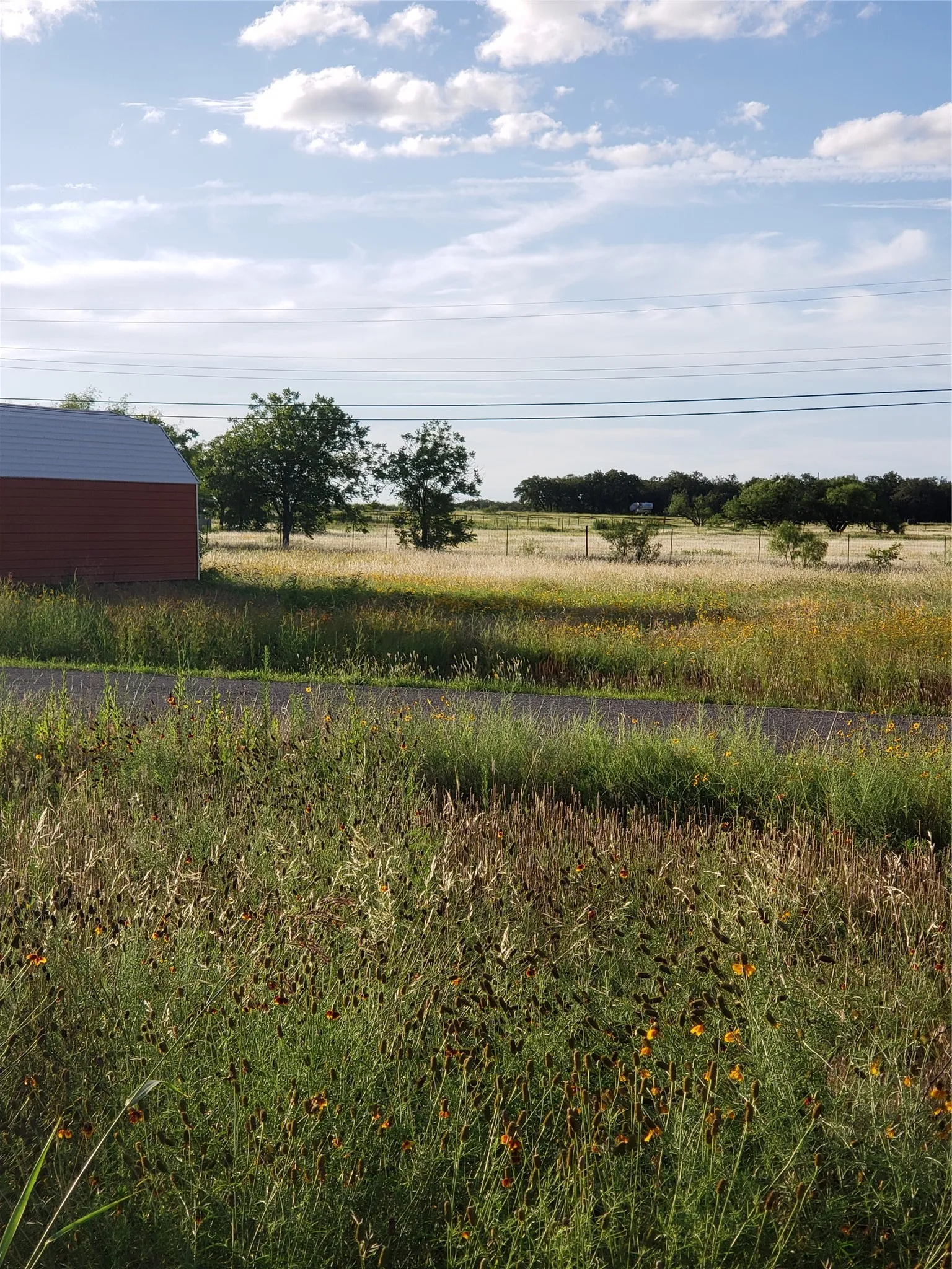 Unimproved Land For Sale in Brown County , TBD County Road 183 Road, Bangs, Texas 76823, 0, 0, Garage spaces, 0 Sqft, built in 0, Price $70,000, mls#21319265, Real Estate Agent in Bangs, Homes For Sale in Brown county, Homes For Sale in Bangs, Realtor in Bangs Texas, Real Estate Brokerage Independent Realty Texas, Luminita Cordes Realtor