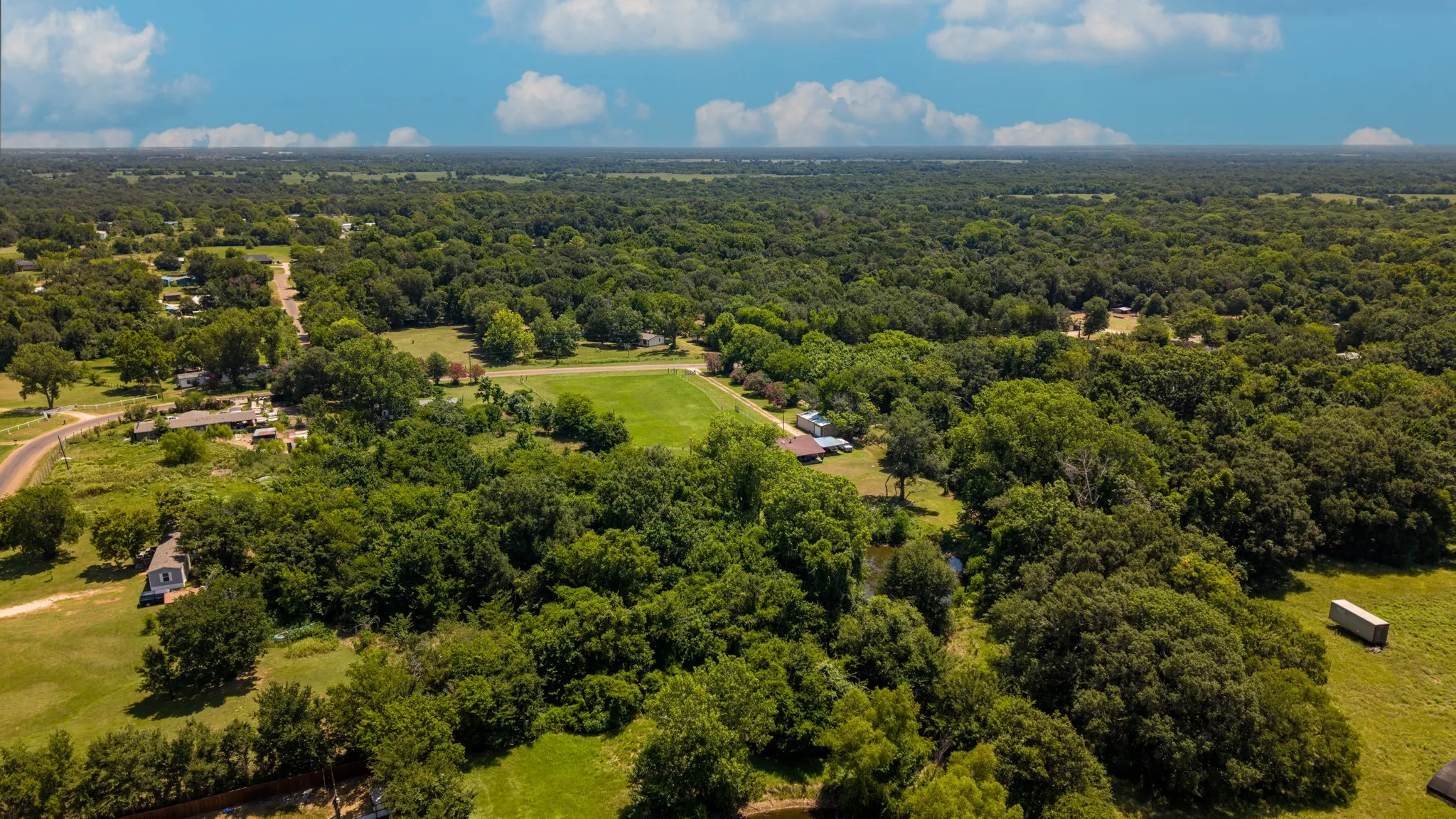 Expansive aerial view of a verdant landscape featuring mature trees and clearings