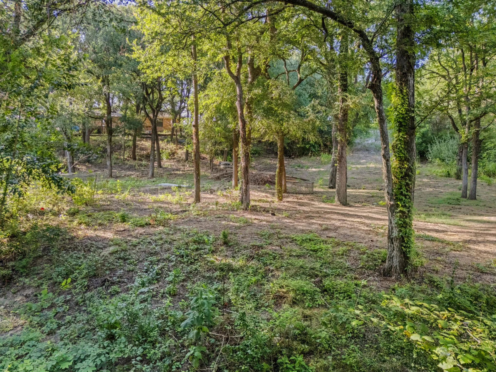 Wooded lot featuring mature trees and natural ground cover