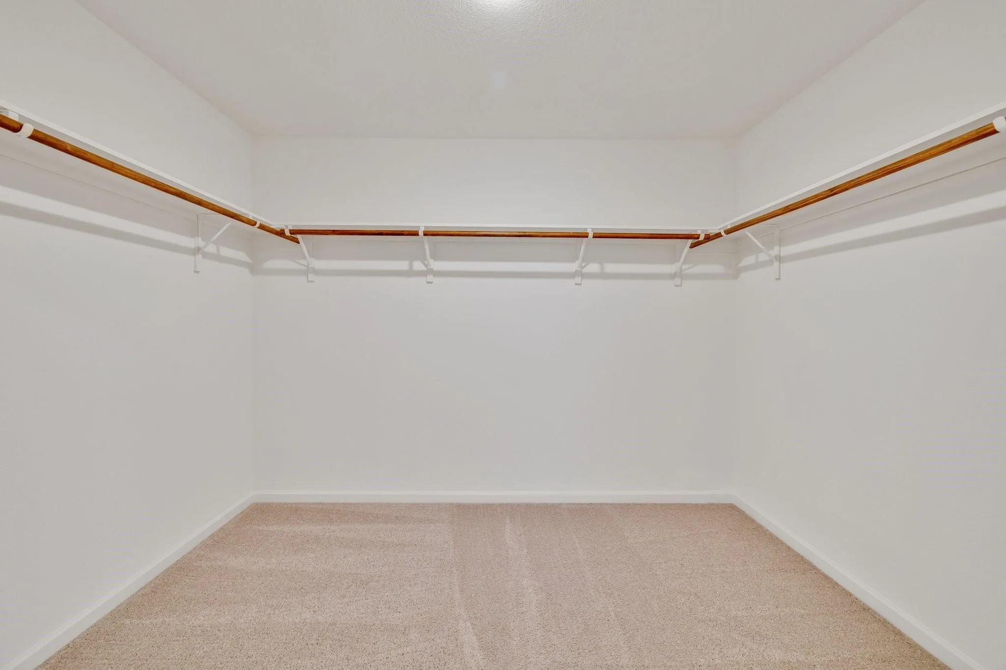 Spacious walk-in closet featuring light-toned carpeting and white walls