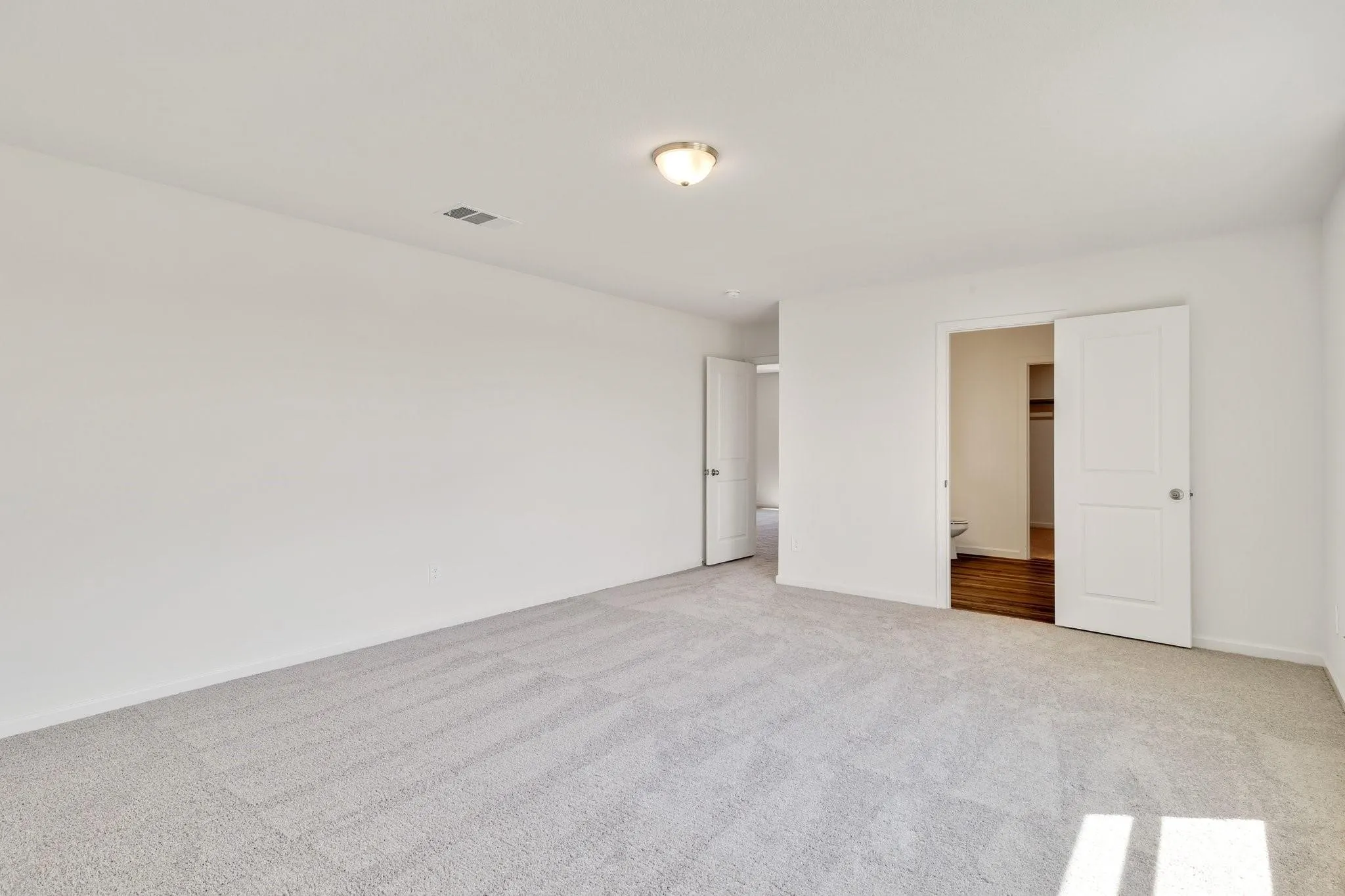Spacious room featuring light gray carpeting, neutral wall finishes, a flush mount ceiling light, and two white panel doors