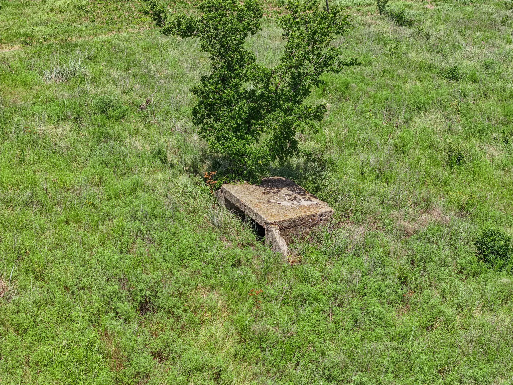 Old WW2 Army bunker