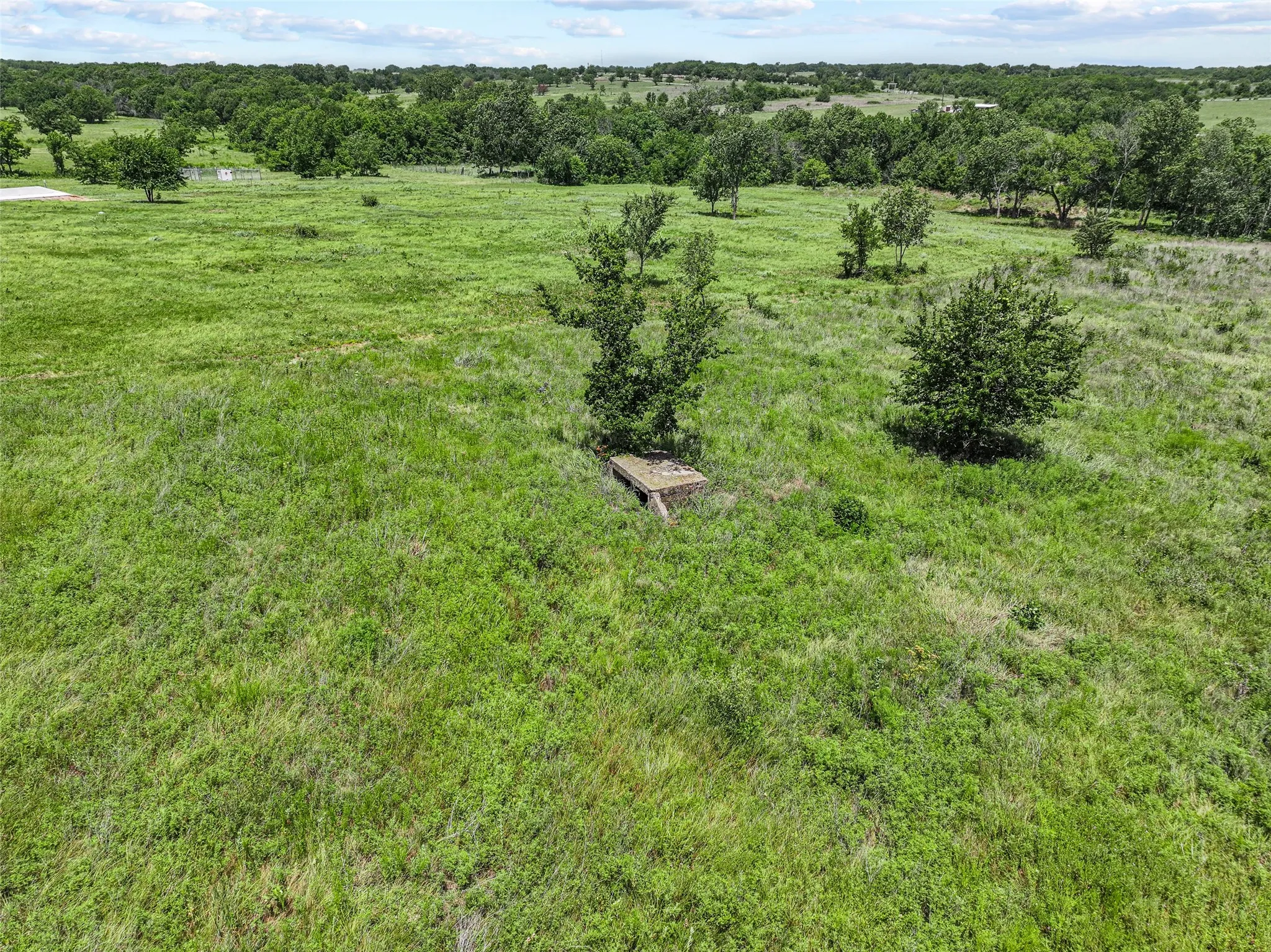 Unimproved Land For Sale in Cooke County , Lot 16 Private Road 4000, Gainesville, Texas 76240, 0, 0, Garage spaces, 0 Sqft, built in 0, mls#21317386, Real Estate Agent in Gainesville, Homes For Sale in Cooke county, Homes For Sale in Gainesville, Realtor in Gainesville Texas, Real Estate Brokerage Independent Realty Texas, Luminita Cordes Realtor