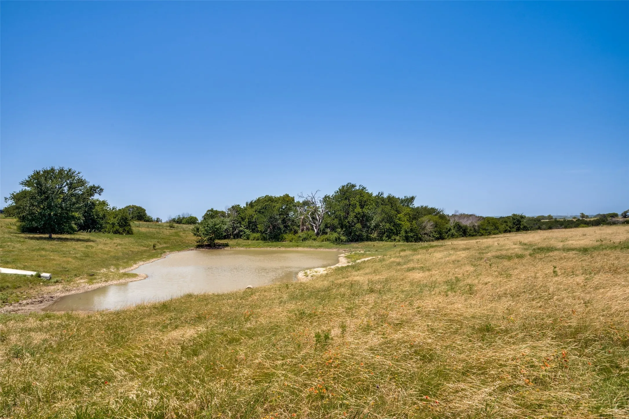 Expansive natural landscape featuring a pond surrounded by rolling grassy hills and mature trees
