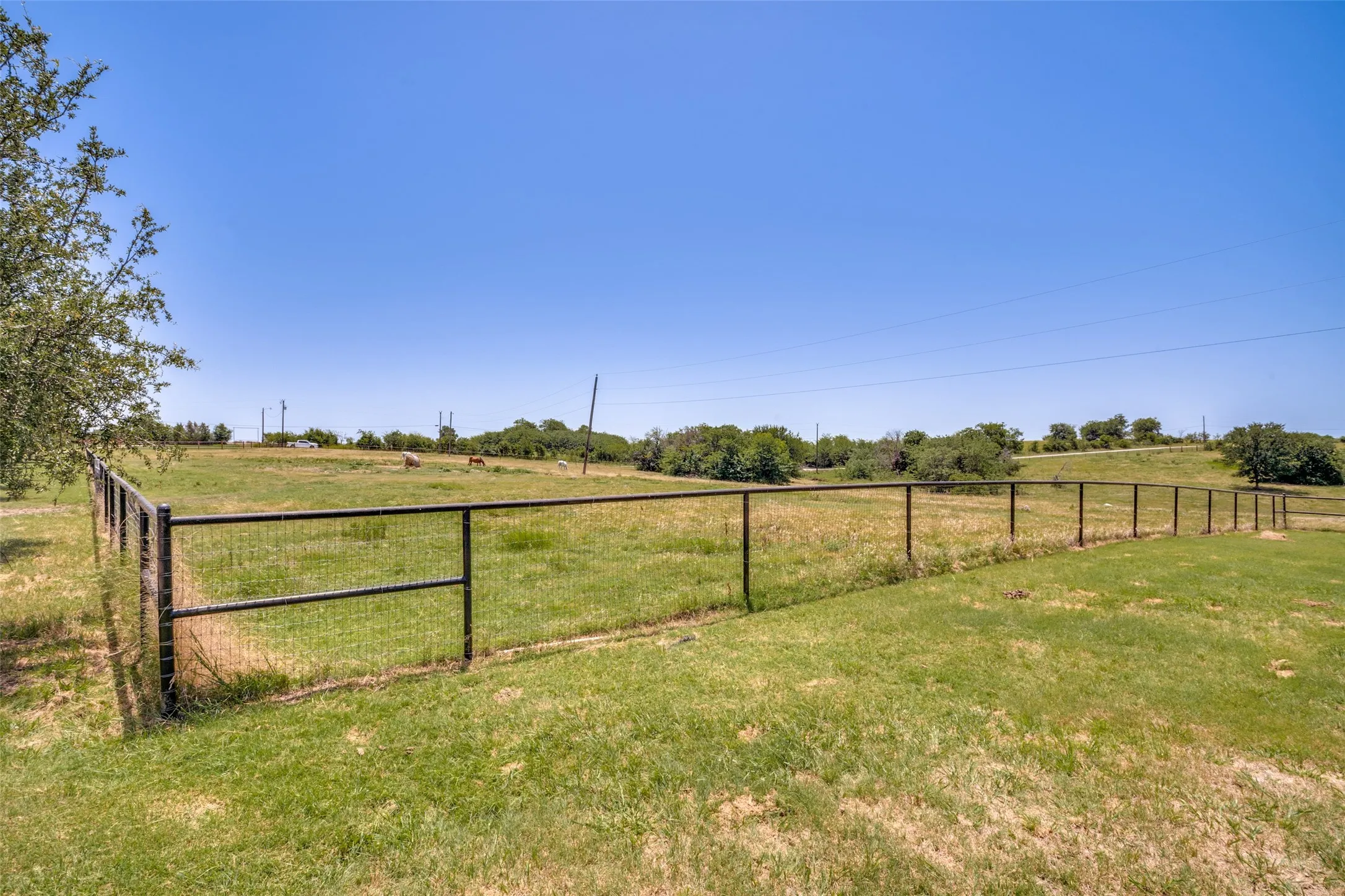 Expansive fenced pastureland with mature trees in the distance