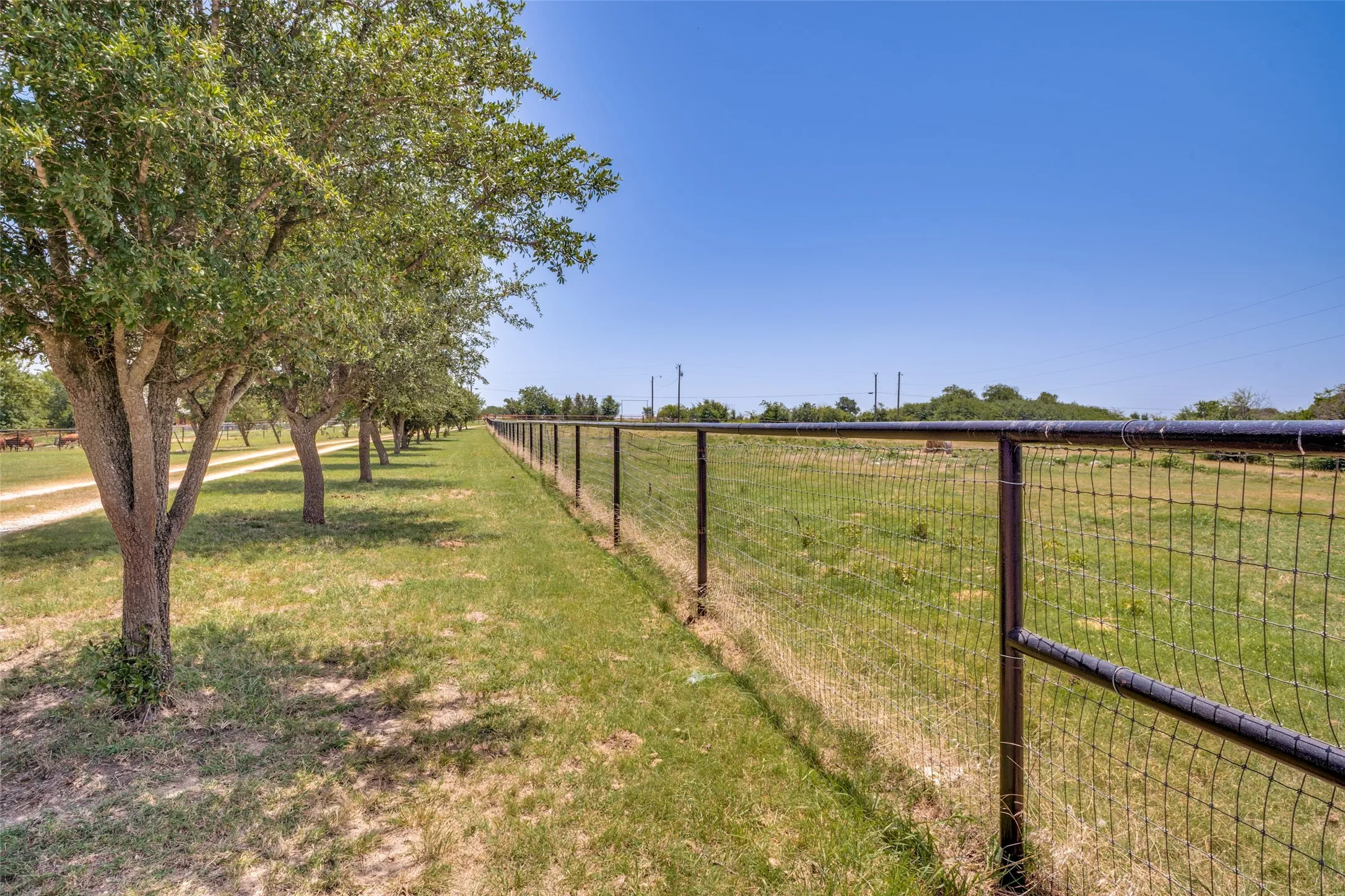 Expansive fenced perimeter featuring a line of mature trees, a metal mesh fence, and a clear blue sky