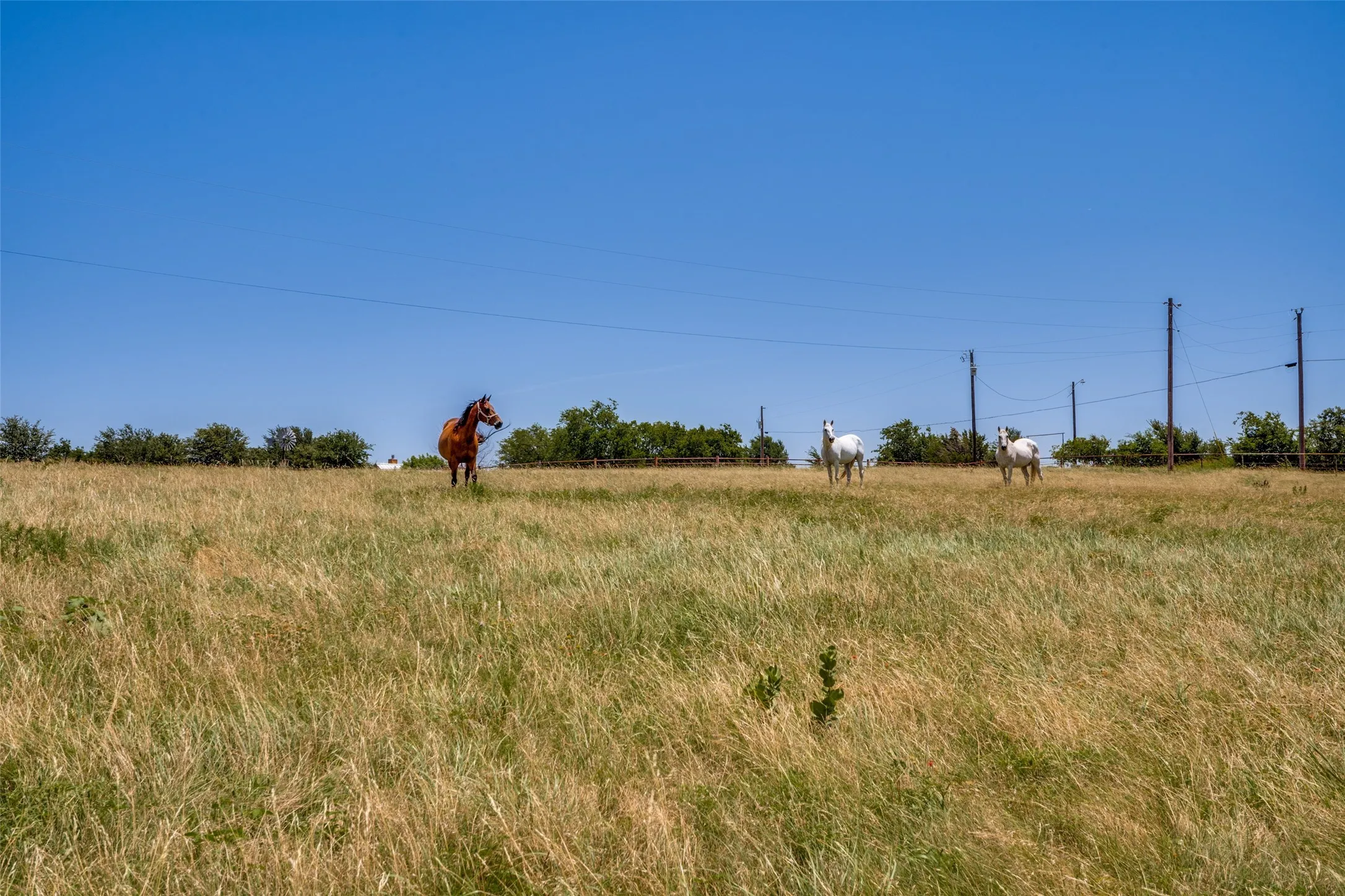 Farm For Sale in Wise County , 243 Rock Court, Decatur, Texas 76234, 3 Bedroom, 3 Bathroom, Garage spaces, 2,868 Sqft, built in 2004, mls#21319244, Real Estate Agent in Decatur, Homes For Sale in Wise county, Homes For Sale in Decatur, Realtor in Decatur Texas, Real Estate Brokerage Independent Realty Texas, Luminita Cordes Realtor