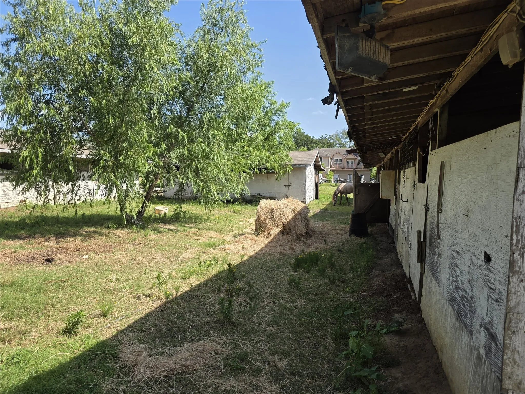Farm For Sale in Hunt County , 3719 Private Road 3843 Road, Quinlan, Texas 75474, 3 Bedroom, 2 Bathroom, Garage spaces, 4,240 Sqft, built in 1989, mls#21307208, Real Estate Agent in Quinlan, Homes For Sale in Hunt county, Homes For Sale in Quinlan, Realtor in Quinlan Texas, Real Estate Brokerage Independent Realty Texas, Luminita Cordes Realtor