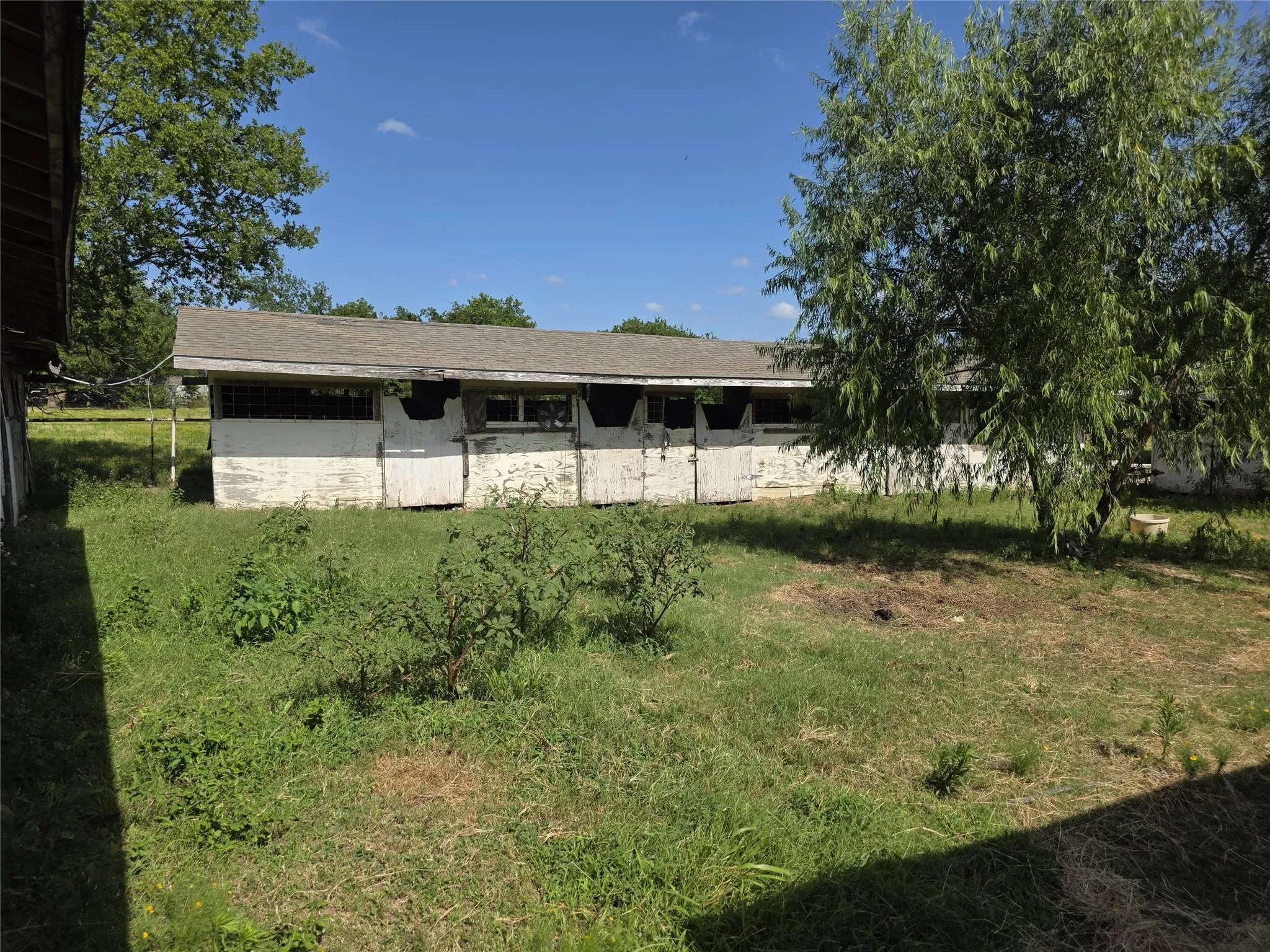 Horses Stable
