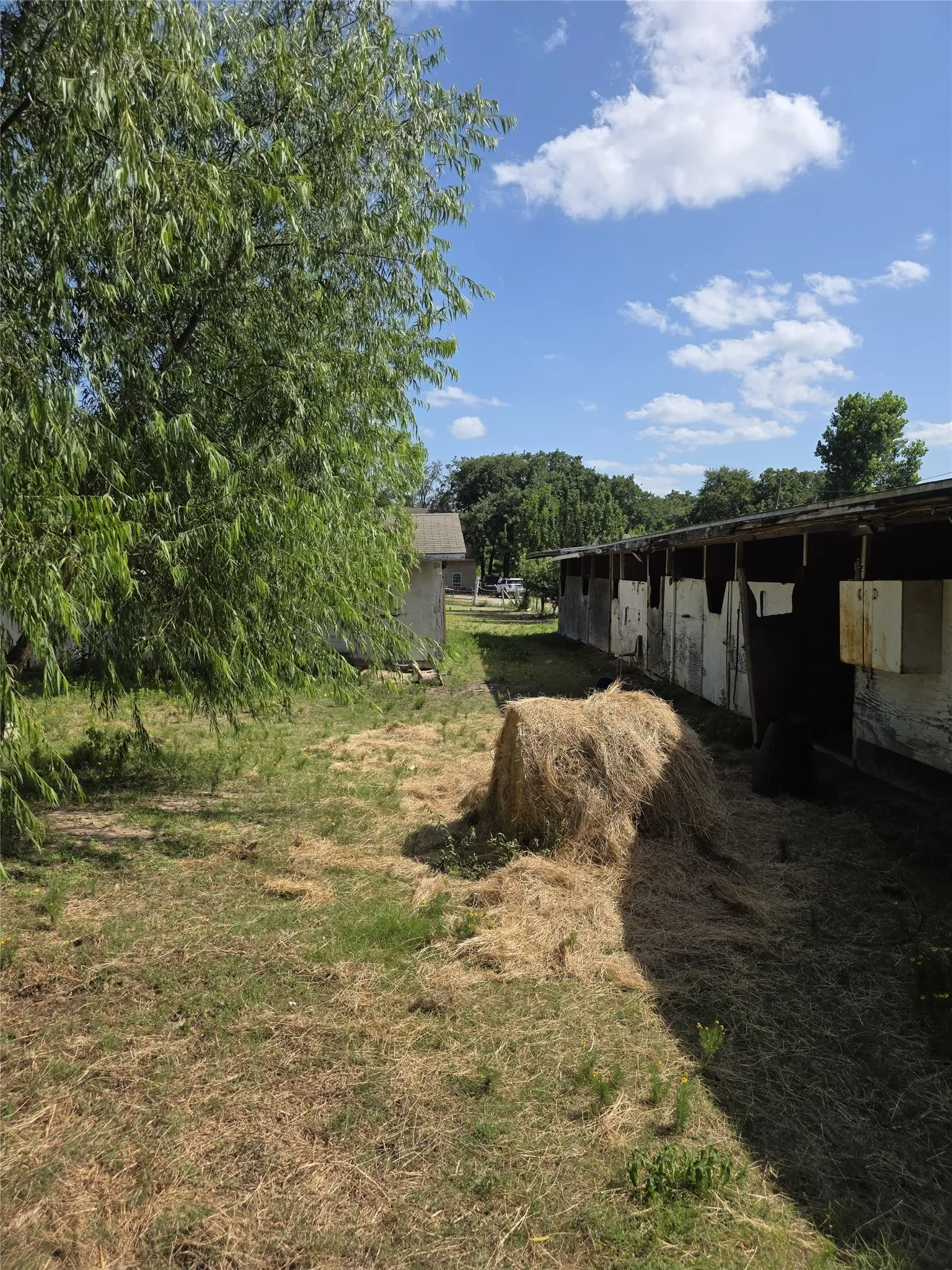 Farm For Sale in Hunt County , 3719 Private Road 3843 Road, Quinlan, Texas 75474, 3 Bedroom, 2 Bathroom, Garage spaces, 4,240 Sqft, built in 1989, mls#21307208, Real Estate Agent in Quinlan, Homes For Sale in Hunt county, Homes For Sale in Quinlan, Realtor in Quinlan Texas, Real Estate Brokerage Independent Realty Texas, Luminita Cordes Realtor