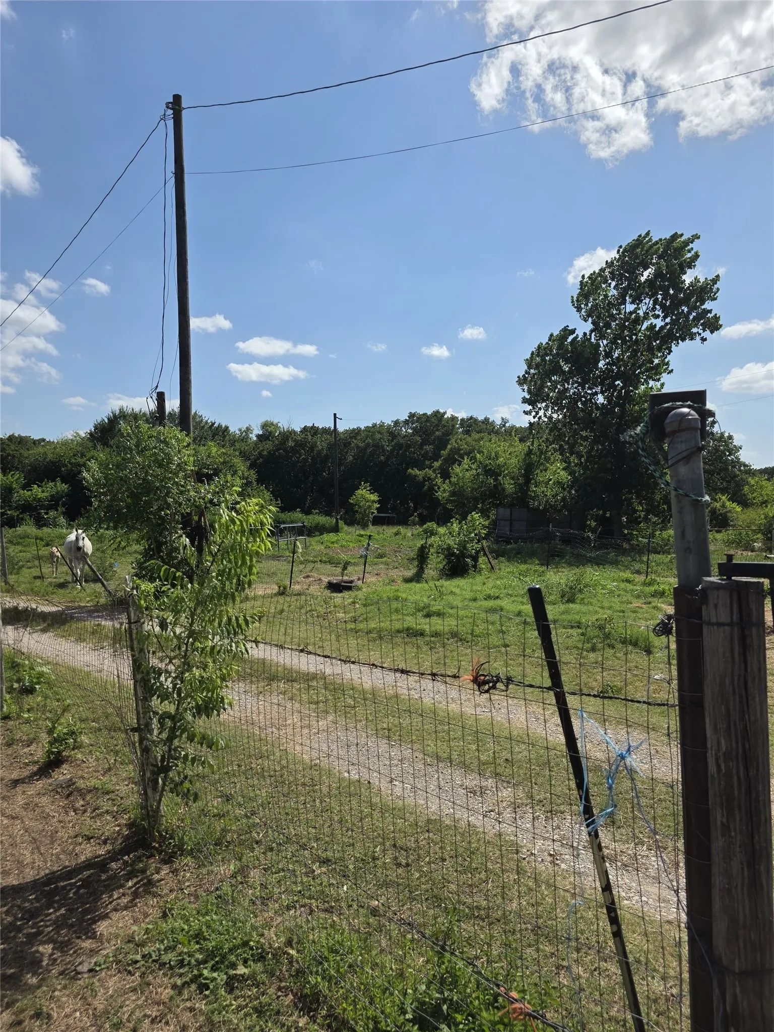Farm For Sale in Hunt County , 3719 Private Road 3843 Road, Quinlan, Texas 75474, 3 Bedroom, 2 Bathroom, Garage spaces, 4,240 Sqft, built in 1989, mls#21307208, Real Estate Agent in Quinlan, Homes For Sale in Hunt county, Homes For Sale in Quinlan, Realtor in Quinlan Texas, Real Estate Brokerage Independent Realty Texas, Luminita Cordes Realtor