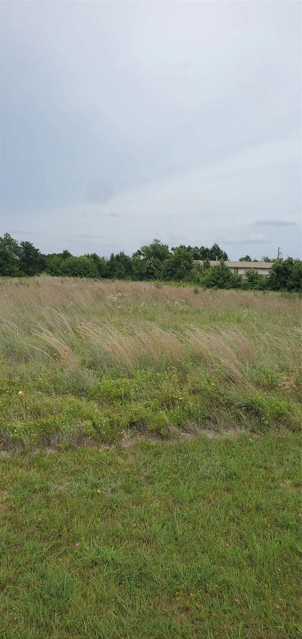 Unimproved Land For Sale in Callahan County , TBD Shelley Lane, Clyde, Texas 79510, 0, 0, Garage spaces, 0 Sqft, built in 0, Price $121,000, mls#21318334, Real Estate Agent in Clyde, Homes For Sale in Callahan county, Homes For Sale in Clyde, Realtor in Clyde Texas, Real Estate Brokerage Independent Realty Texas, Luminita Cordes Realtor