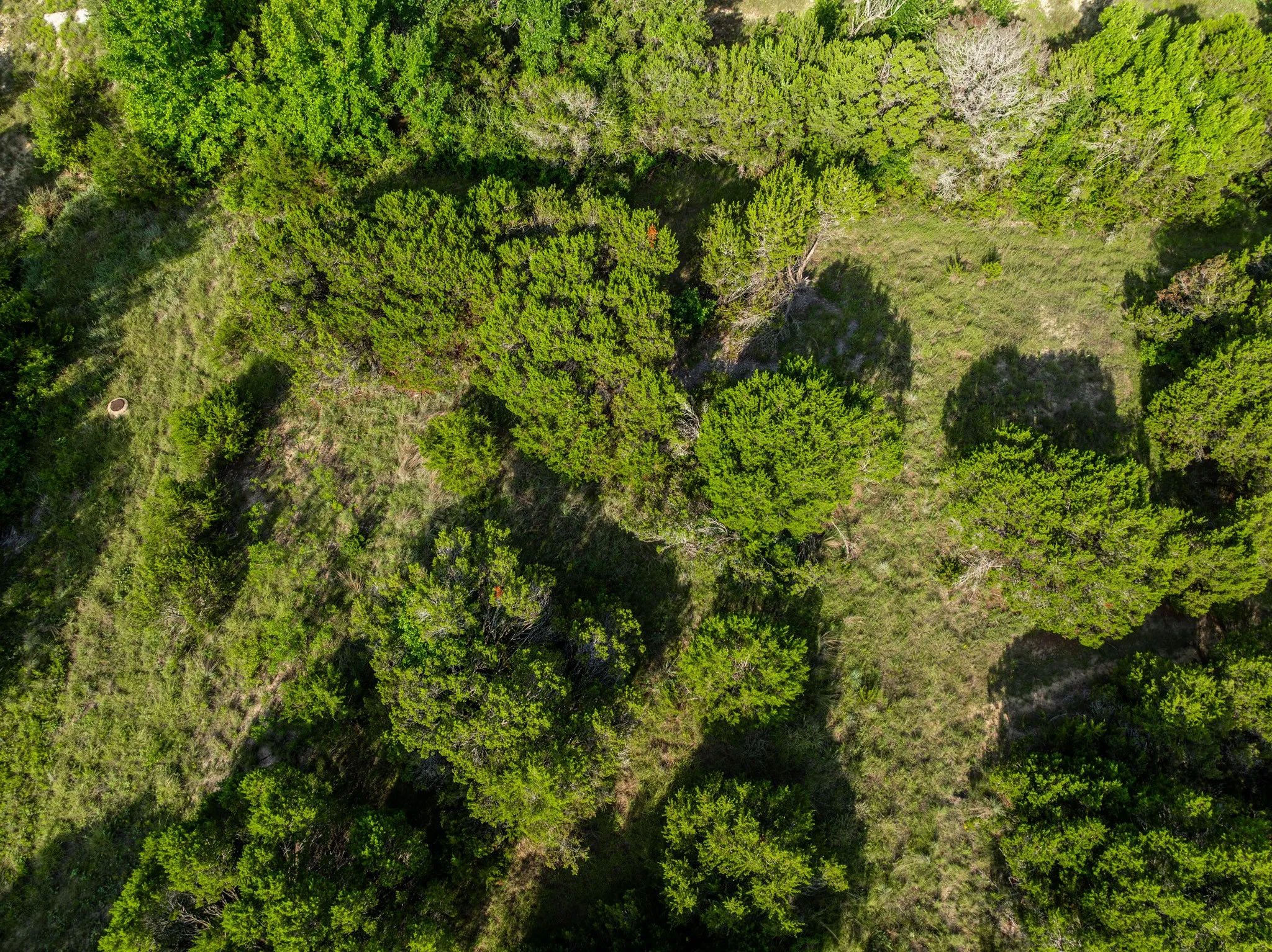 Unimproved Land For Sale in Somervell County , 1025 CR 407A, Nemo, Texas 76070, 0, 0, Garage spaces, 0 Sqft, built in 0, Price $79,900, mls#21316481, Real Estate Agent in Nemo, Homes For Sale in Somervell county, Homes For Sale in Nemo, Realtor in Nemo Texas, Real Estate Brokerage Independent Realty Texas, Luminita Cordes Realtor