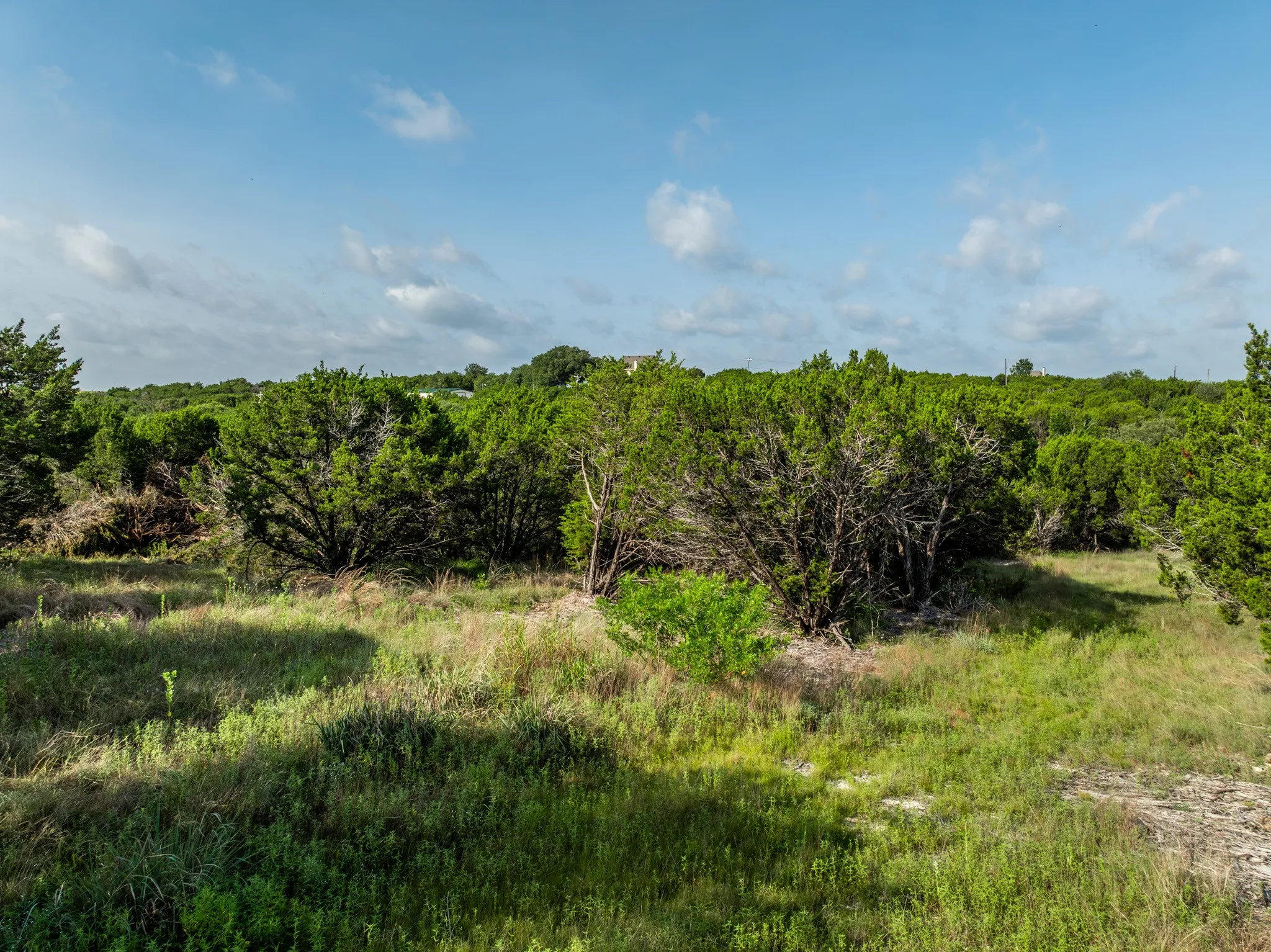 Unimproved Land For Sale in Somervell County , 1025 CR 407A, Nemo, Texas 76070, 0, 0, Garage spaces, 0 Sqft, built in 0, Price $79,900, mls#21316481, Real Estate Agent in Nemo, Homes For Sale in Somervell county, Homes For Sale in Nemo, Realtor in Nemo Texas, Real Estate Brokerage Independent Realty Texas, Luminita Cordes Realtor