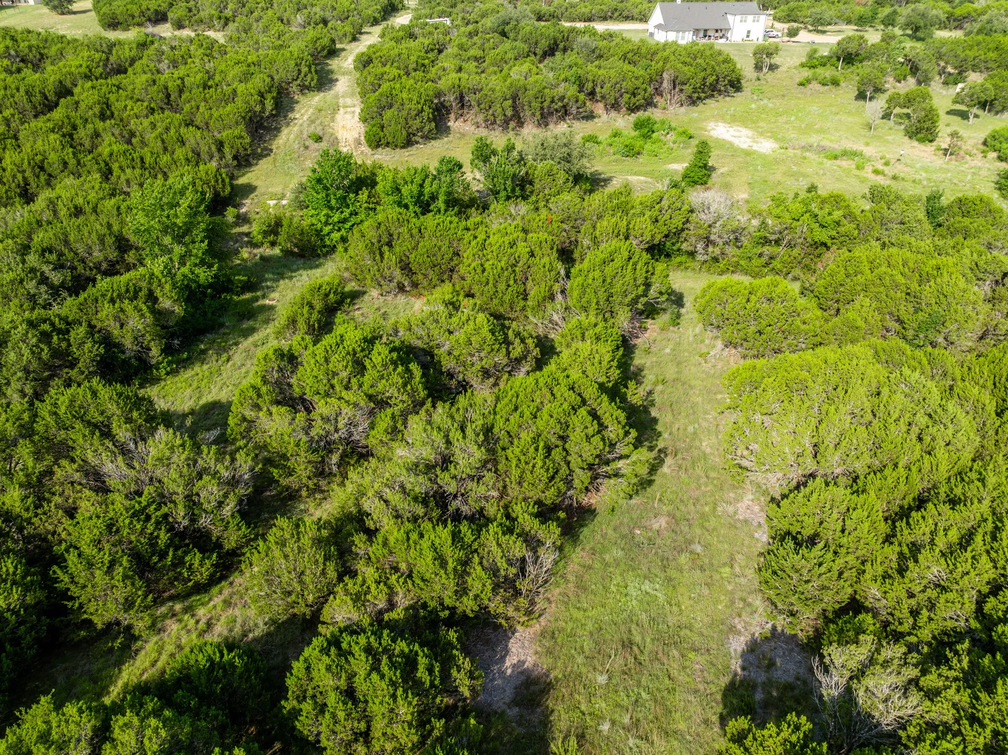 Unimproved Land For Sale in Somervell County , 1025 CR 407A, Nemo, Texas 76070, 0, 0, Garage spaces, 0 Sqft, built in 0, Price $79,900, mls#21316481, Real Estate Agent in Nemo, Homes For Sale in Somervell county, Homes For Sale in Nemo, Realtor in Nemo Texas, Real Estate Brokerage Independent Realty Texas, Luminita Cordes Realtor