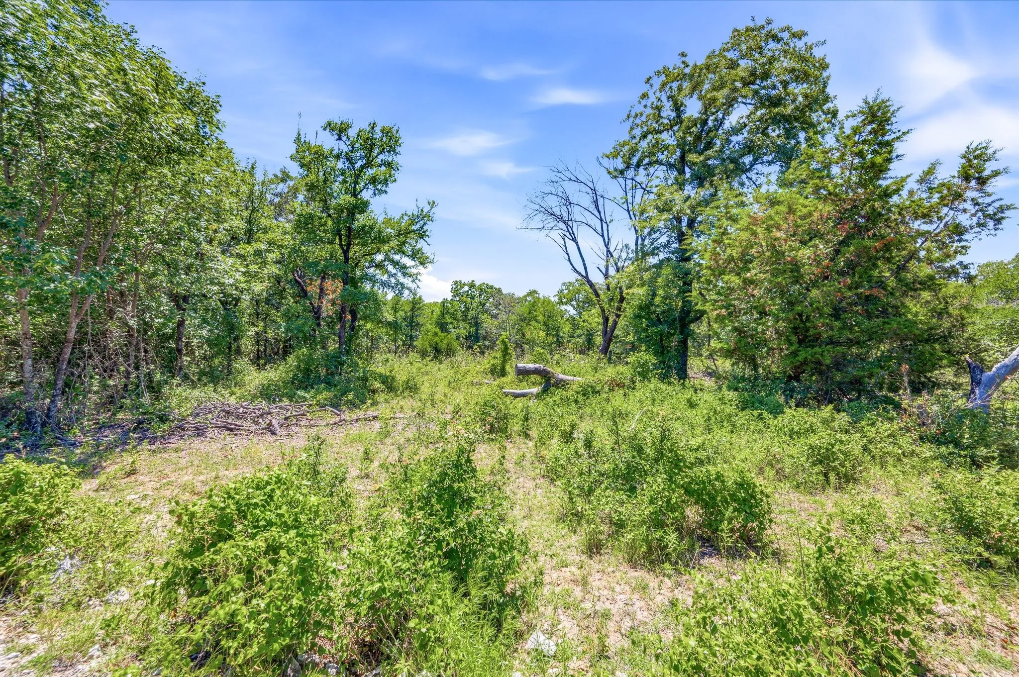 Ranch For Sale in Wise County , TBD FM 1658, Bridgeport, Texas 76426, 0, 0, Garage spaces, 0 Sqft, built in 0, Price $850,000, mls#21305106, Real Estate Agent in Bridgeport, Homes For Sale in Wise county, Homes For Sale in Bridgeport, Realtor in Bridgeport Texas, Real Estate Brokerage Independent Realty Texas, Luminita Cordes Realtor