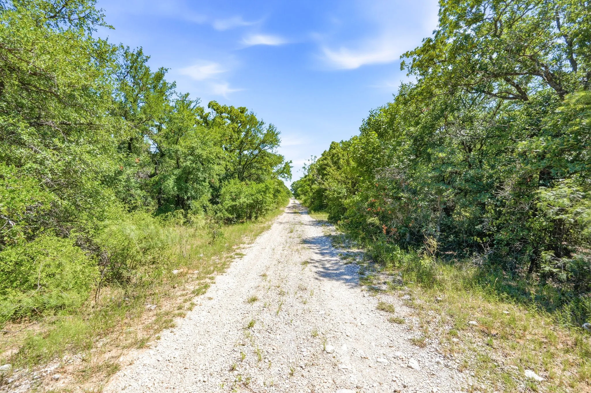 Ranch For Sale in Wise County , TBD FM 1658, Bridgeport, Texas 76426, 0, 0, Garage spaces, 0 Sqft, built in 0, Price $850,000, mls#21305106, Real Estate Agent in Bridgeport, Homes For Sale in Wise county, Homes For Sale in Bridgeport, Realtor in Bridgeport Texas, Real Estate Brokerage Independent Realty Texas, Luminita Cordes Realtor