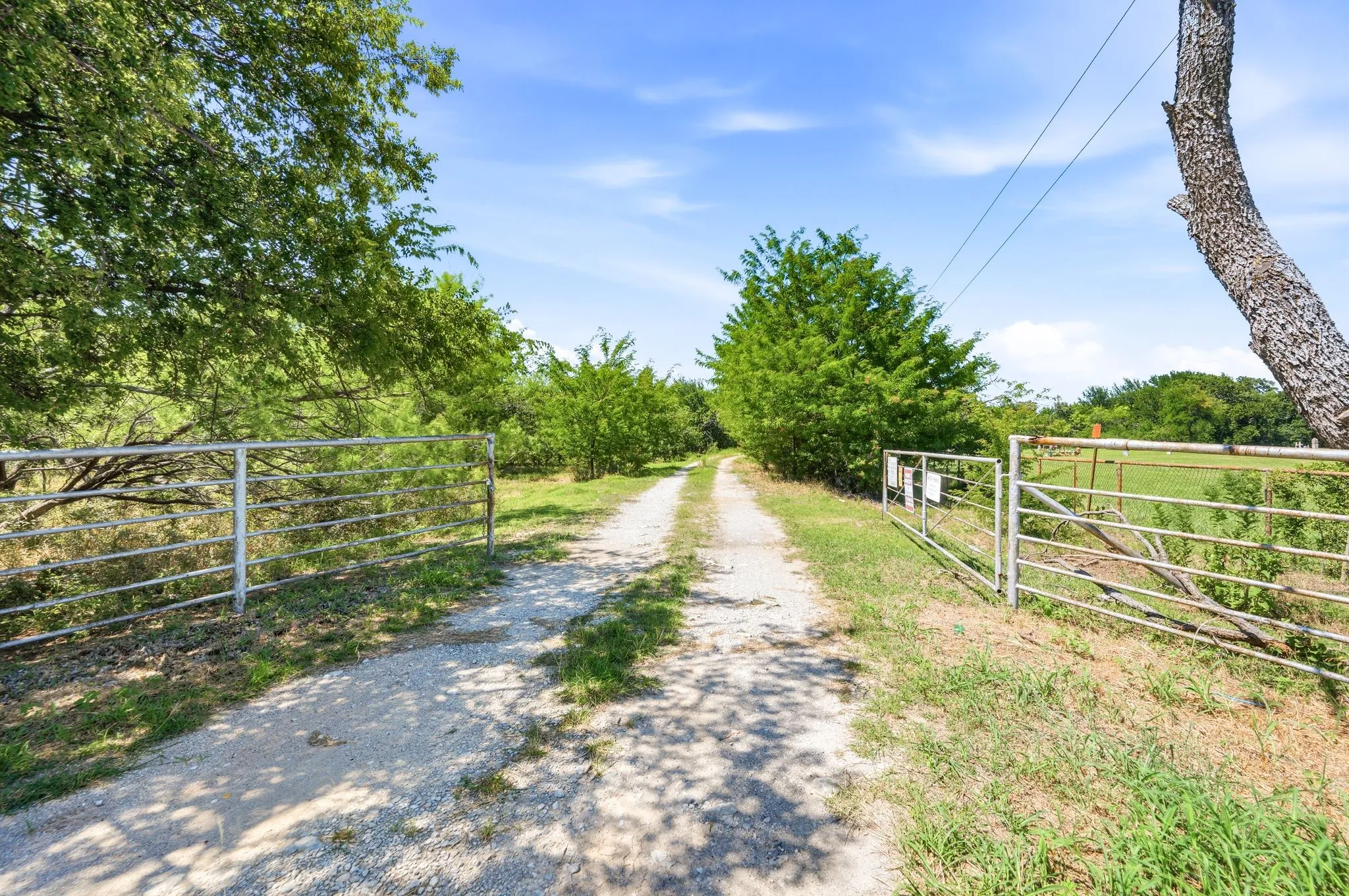 Ranch For Sale in Wise County , TBD FM 1658, Bridgeport, Texas 76426, 0, 0, Garage spaces, 0 Sqft, built in 0, Price $850,000, mls#21305106, Real Estate Agent in Bridgeport, Homes For Sale in Wise county, Homes For Sale in Bridgeport, Realtor in Bridgeport Texas, Real Estate Brokerage Independent Realty Texas, Luminita Cordes Realtor