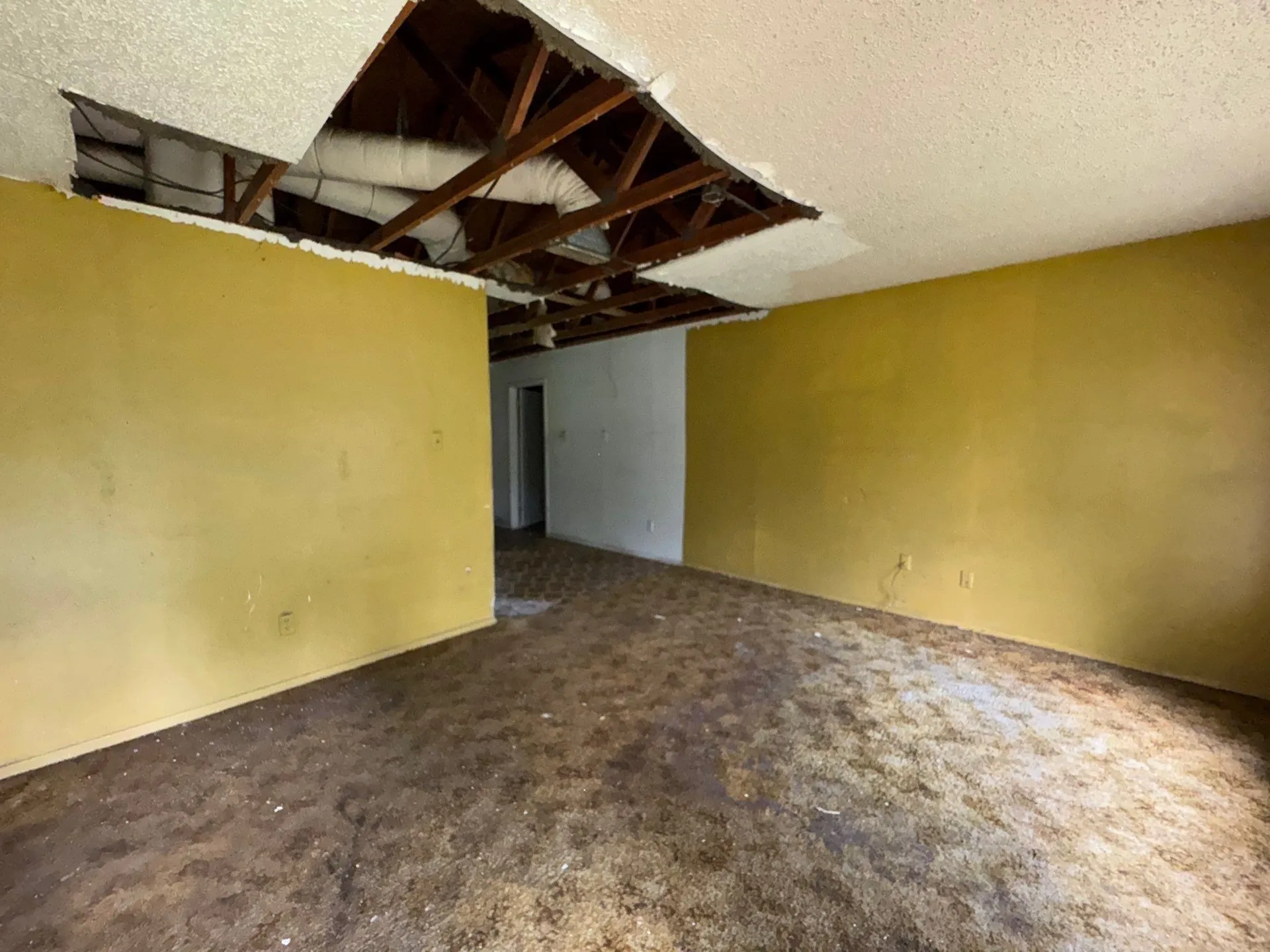 Single Family Residence For Sale in Hopkins County , 321 Beckham Street W, Sulphur Springs, Texas 75482, 2 Bedroom, 1 Bathroom, Garage spaces, 784 Sqft, built in 1945, mls#21316812, Real Estate Agent in Sulphur Springs, Homes For Sale in Hopkins county, Homes For Sale in Sulphur Springs, Realtor in Sulphur Springs Texas, Real Estate Brokerage Independent Realty Texas, Luminita Cordes Realtor