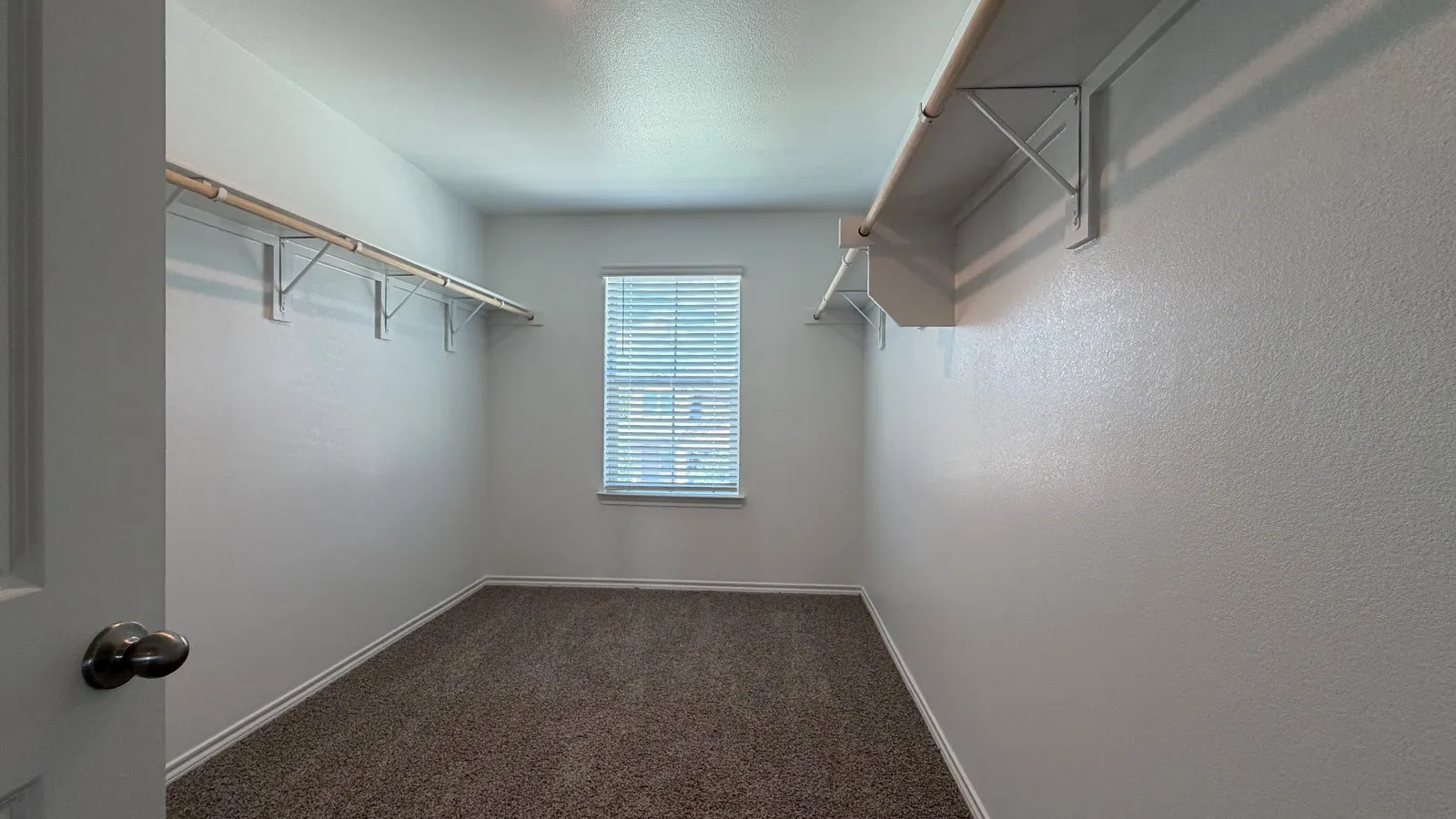 Spacious closet featuring wall-to-wall carpeting and built-in shelving with hanging rods