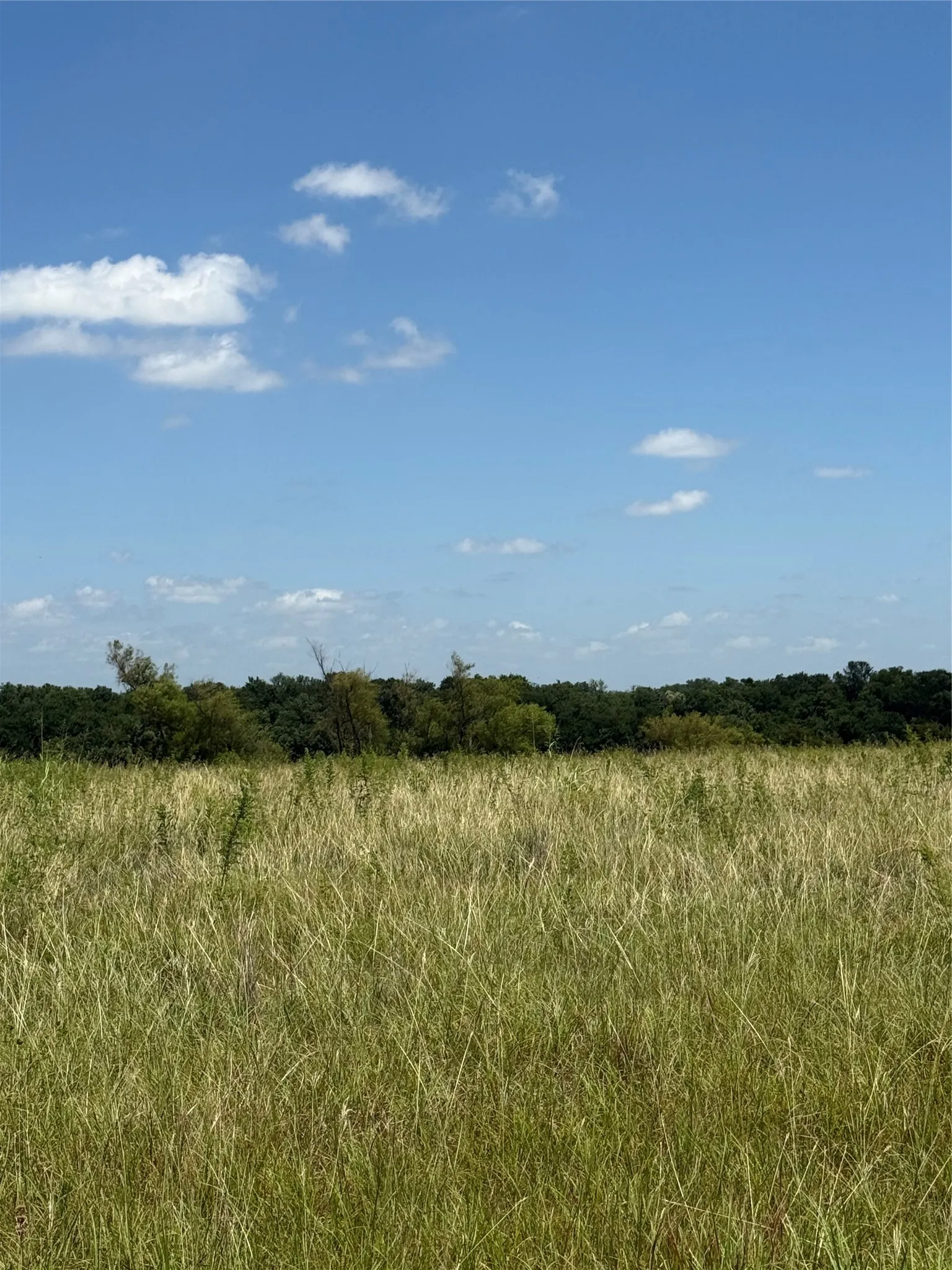 Unimproved Land For Sale in Fannin County , 01 CR 3550, Honey Grove, Texas 75446, 0, 0, Garage spaces, 0 Sqft, built in 0, Price $120,000, mls#21319492, Real Estate Agent in Honey Grove, Homes For Sale in Fannin county, Homes For Sale in Honey Grove, Realtor in Honey Grove Texas, Real Estate Brokerage Independent Realty Texas, Luminita Cordes Realtor