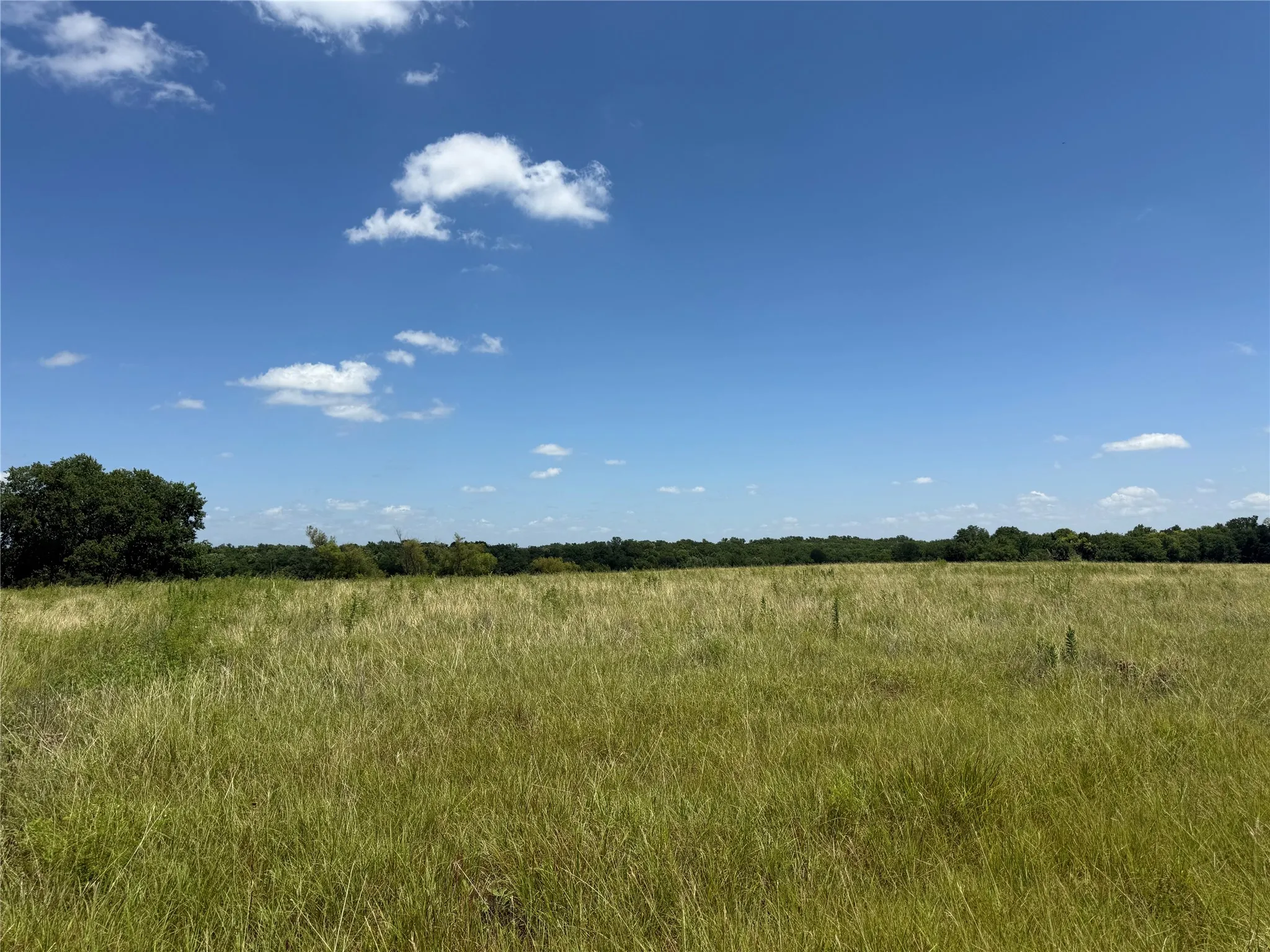 Unimproved Land For Sale in Fannin County , 01 CR 3550, Honey Grove, Texas 75446, 0, 0, Garage spaces, 0 Sqft, built in 0, Price $120,000, mls#21319492, Real Estate Agent in Honey Grove, Homes For Sale in Fannin county, Homes For Sale in Honey Grove, Realtor in Honey Grove Texas, Real Estate Brokerage Independent Realty Texas, Luminita Cordes Realtor
