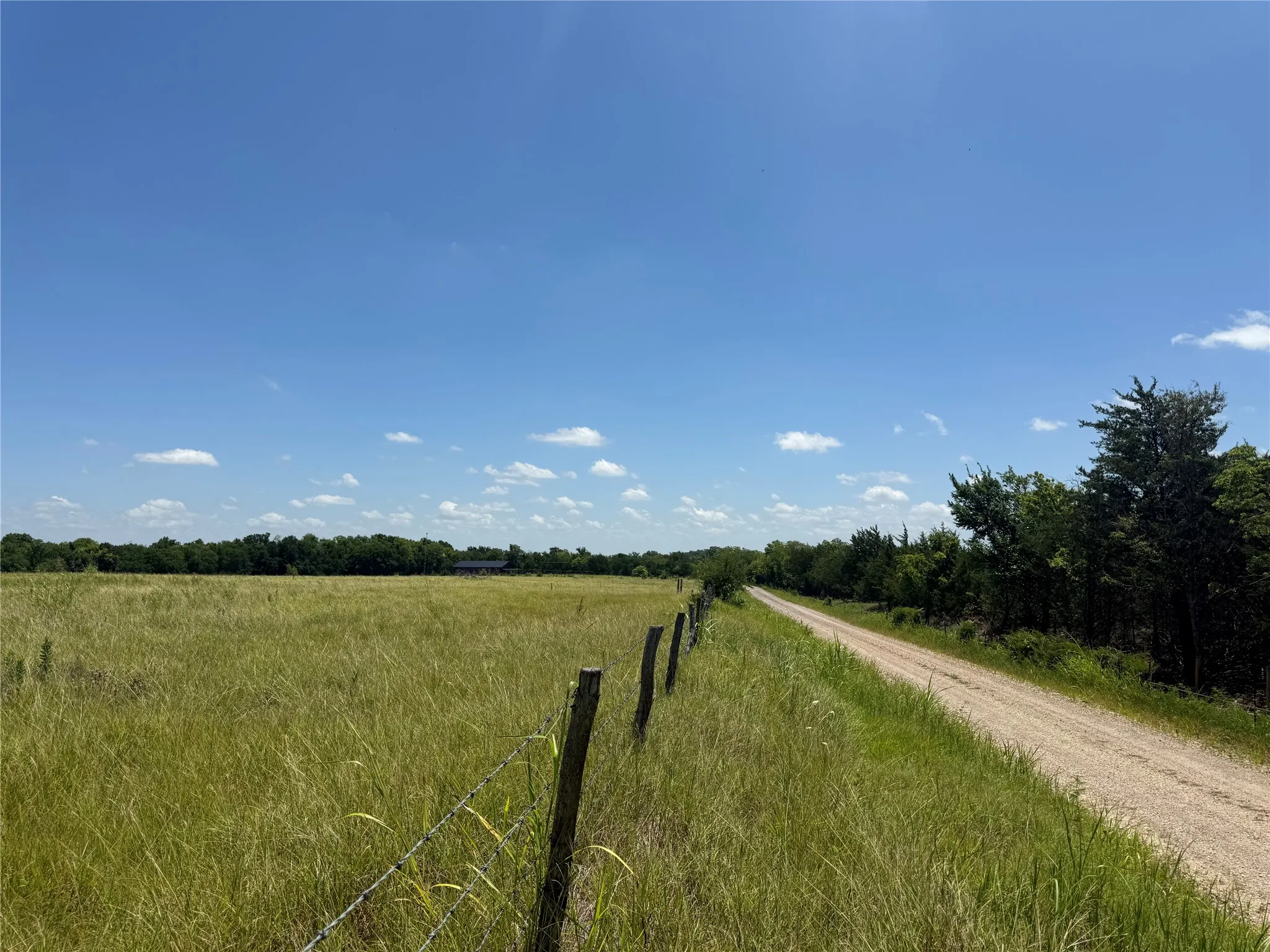 Unimproved Land For Sale in Fannin County , 01 CR 3550, Honey Grove, Texas 75446, 0, 0, Garage spaces, 0 Sqft, built in 0, Price $120,000, mls#21319492, Real Estate Agent in Honey Grove, Homes For Sale in Fannin county, Homes For Sale in Honey Grove, Realtor in Honey Grove Texas, Real Estate Brokerage Independent Realty Texas, Luminita Cordes Realtor