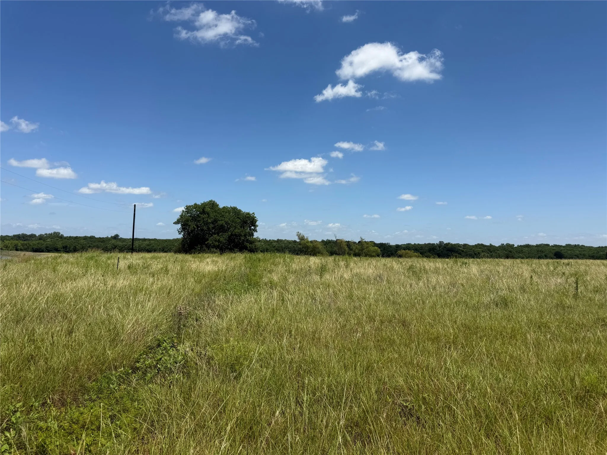 Unimproved Land For Sale in Fannin County , 01 CR 3550, Honey Grove, Texas 75446, 0, 0, Garage spaces, 0 Sqft, built in 0, Price $120,000, mls#21319492, Real Estate Agent in Honey Grove, Homes For Sale in Fannin county, Homes For Sale in Honey Grove, Realtor in Honey Grove Texas, Real Estate Brokerage Independent Realty Texas, Luminita Cordes Realtor