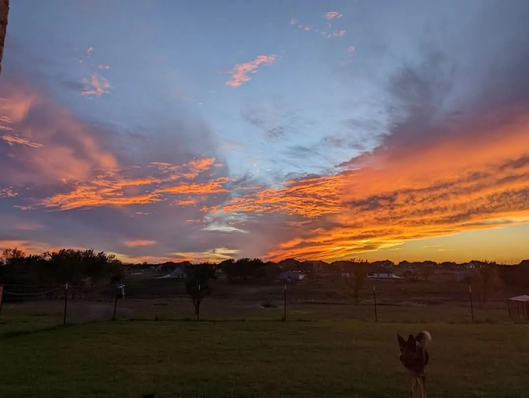 Single Family Residence For Sale in Parker County , 1107 Pioneer Crossing, Weatherford, Texas 76088, 5 Bedroom, 3 Bathroom, 3 Garage spaces, 2,563 Sqft, built in 2021, mls#21313929, Real Estate Agent in Weatherford, Homes For Sale in Parker county, Homes For Sale in Weatherford, Realtor in Weatherford Texas, Real Estate Brokerage Independent Realty Texas, Luminita Cordes Realtor