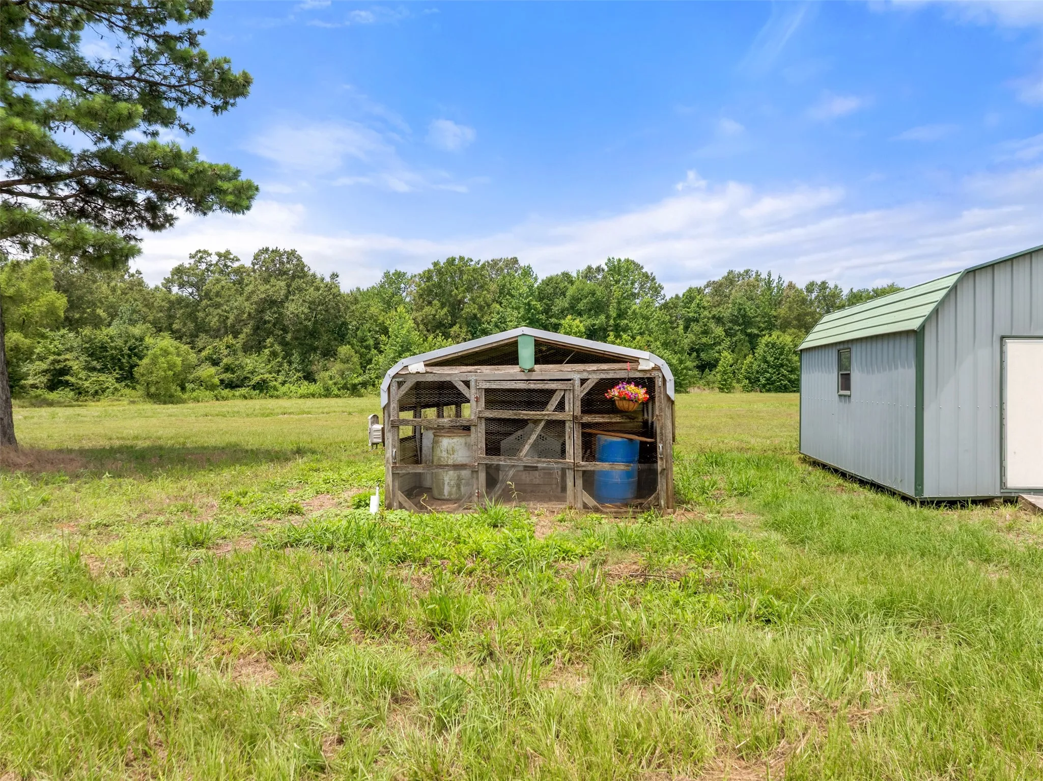 Farm For Sale in Titus County , 672 County Road 4960, Pittsburg, Texas 75686, 3 Bedroom, 2 Bathroom, Garage spaces, 4,800 Sqft, built in 2013, mls#21319548, Real Estate Agent in Pittsburg, Homes For Sale in Titus county, Homes For Sale in Pittsburg, Realtor in Pittsburg Texas, Real Estate Brokerage Independent Realty Texas, Luminita Cordes Realtor