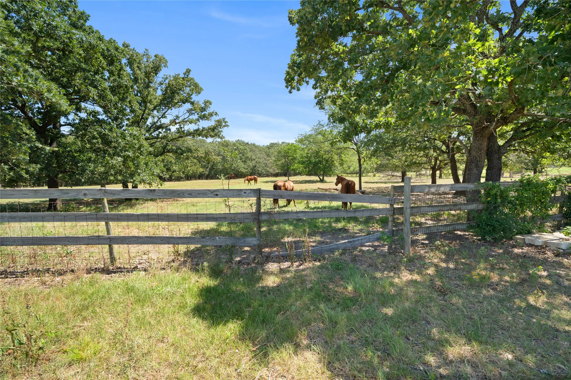 Single Family Residence For Sale in Kaufman County , 14643 County Road 4060, Scurry, Texas 75158, 3 Bedroom, 2 Bathroom, 1 Garage spaces, 2,176 Sqft, built in 1998, mls#21317072, Real Estate Agent in Scurry, Homes For Sale in Kaufman county, Homes For Sale in Scurry, Realtor in Scurry Texas, Real Estate Brokerage Independent Realty Texas, Luminita Cordes Realtor