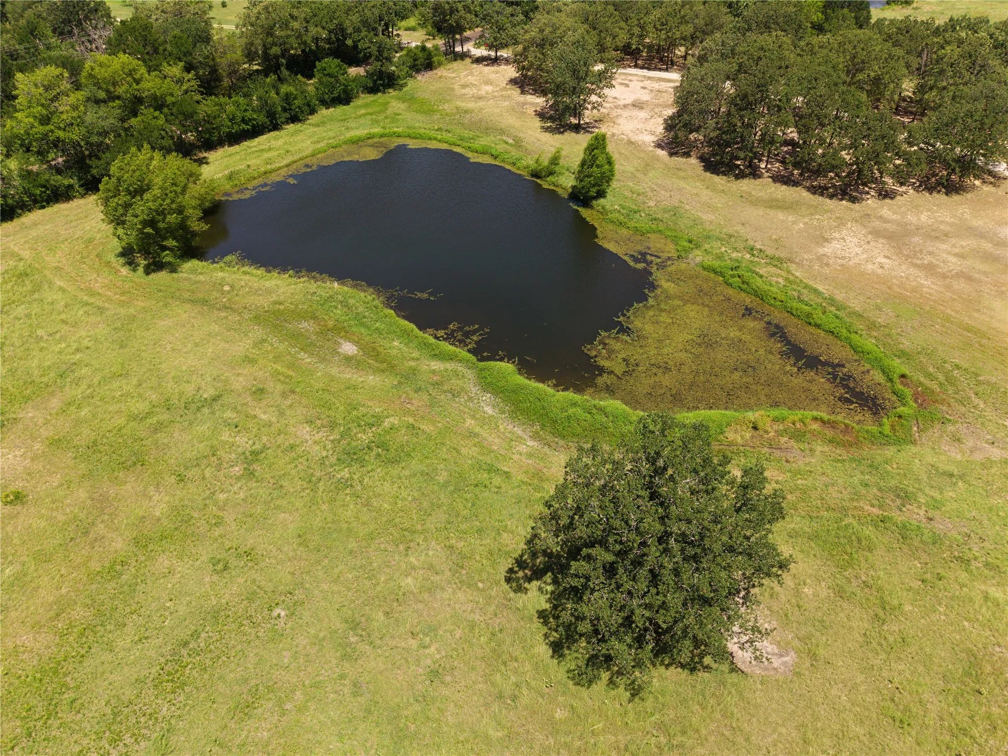 Single Family Residence For Sale in Kaufman County , 14643 County Road 4060, Scurry, Texas 75158, 3 Bedroom, 2 Bathroom, 1 Garage spaces, 2,176 Sqft, built in 1998, mls#21317072, Real Estate Agent in Scurry, Homes For Sale in Kaufman county, Homes For Sale in Scurry, Realtor in Scurry Texas, Real Estate Brokerage Independent Realty Texas, Luminita Cordes Realtor
