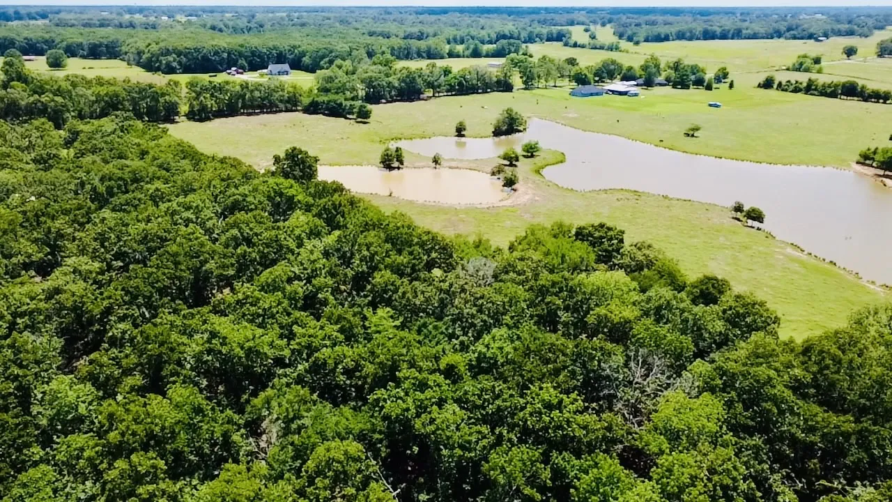 Expansive aerial view showcasing diverse topography