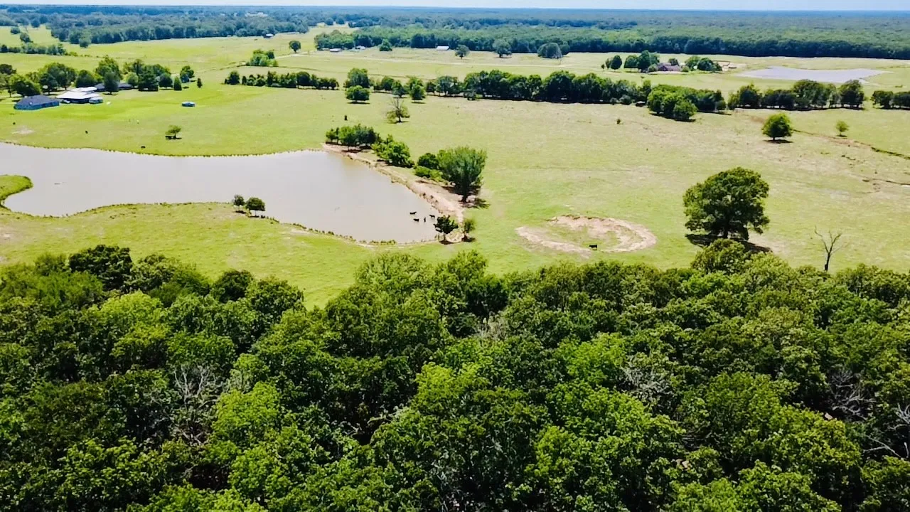 Expansive landscape featuring dense tree cover, open green fields, a large pond, and distant structures