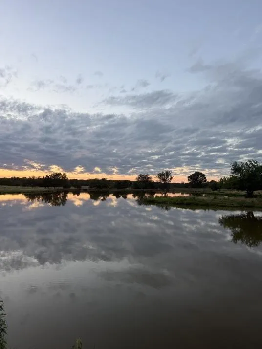 Improved Land For Sale in Lamar County , 1963 County Road 44750, Blossom, Texas 75416, 0, 0, Garage spaces, 0 Sqft, built in 0, Price $875,000, mls#21319582, Real Estate Agent in Blossom, Homes For Sale in Lamar county, Homes For Sale in Blossom, Realtor in Blossom Texas, Real Estate Brokerage Independent Realty Texas, Luminita Cordes Realtor