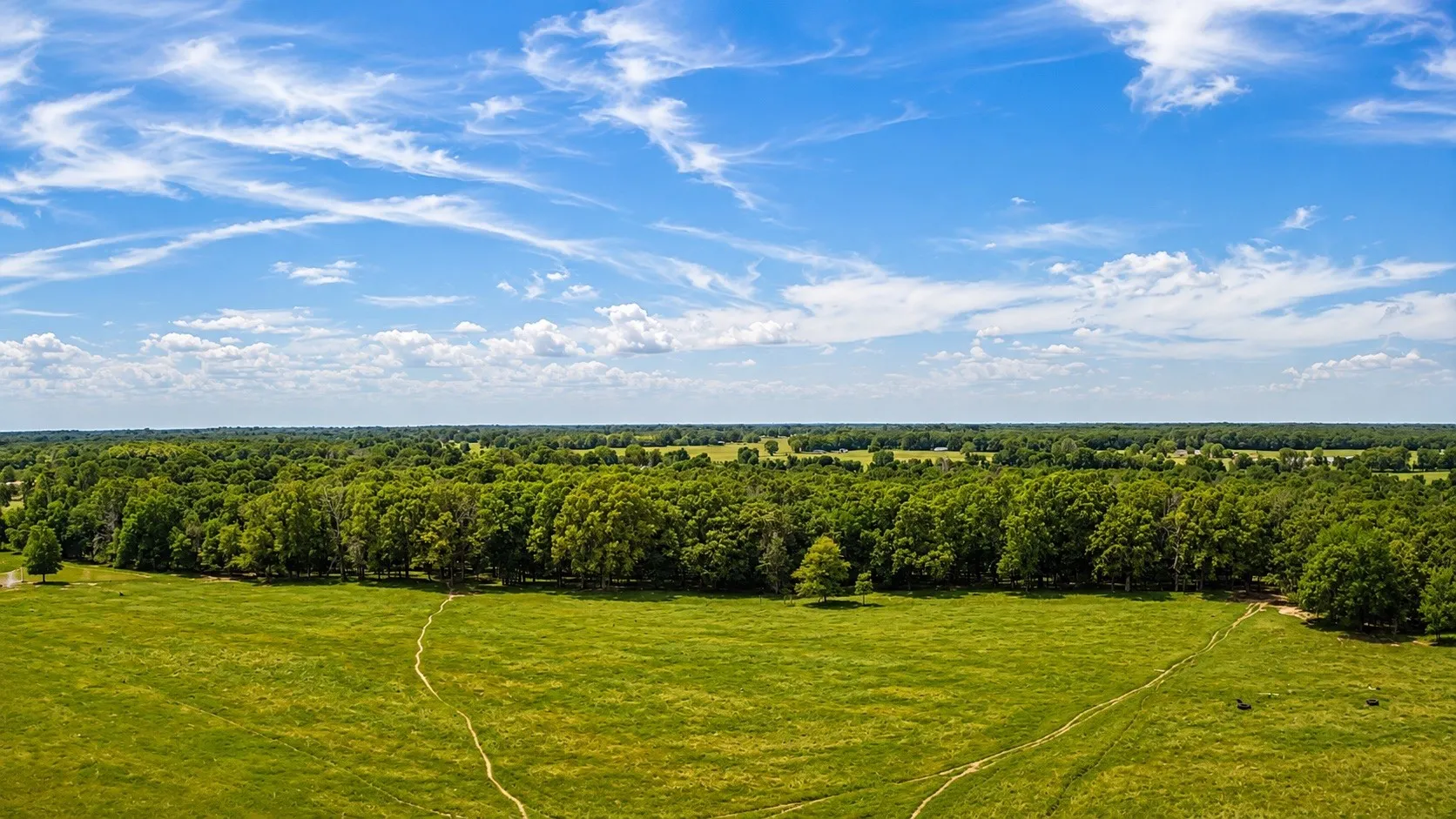 Expansive green fields bordered by dense tree lines under a clear sky