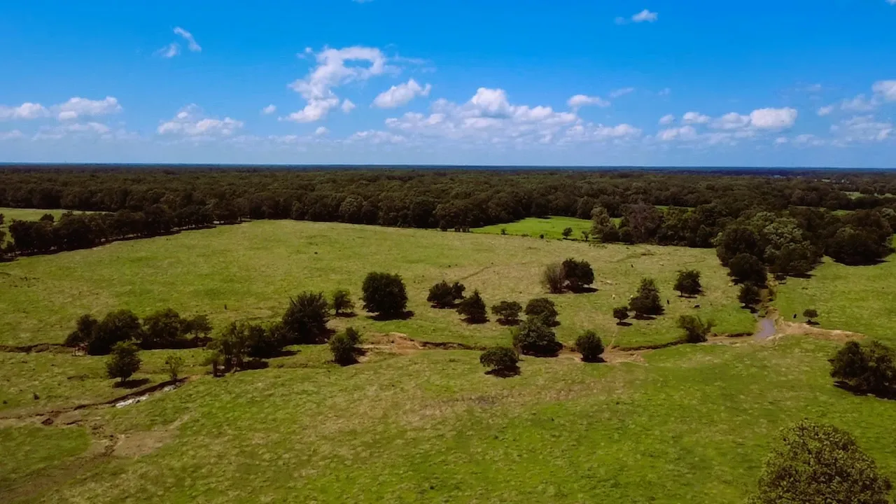 Expansive green pastures framed by mature trees