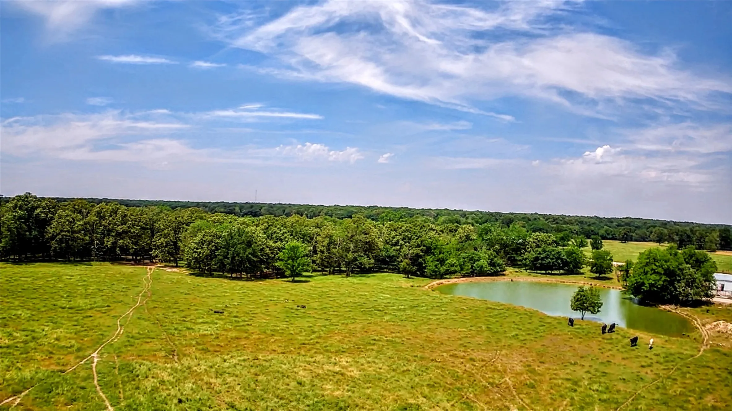 Improved Land For Sale in Lamar County , 1963 County Road 44750, Blossom, Texas 75416, 0, 0, Garage spaces, 0 Sqft, built in 0, Price $875,000, mls#21319582, Real Estate Agent in Blossom, Homes For Sale in Lamar county, Homes For Sale in Blossom, Realtor in Blossom Texas, Real Estate Brokerage Independent Realty Texas, Luminita Cordes Realtor