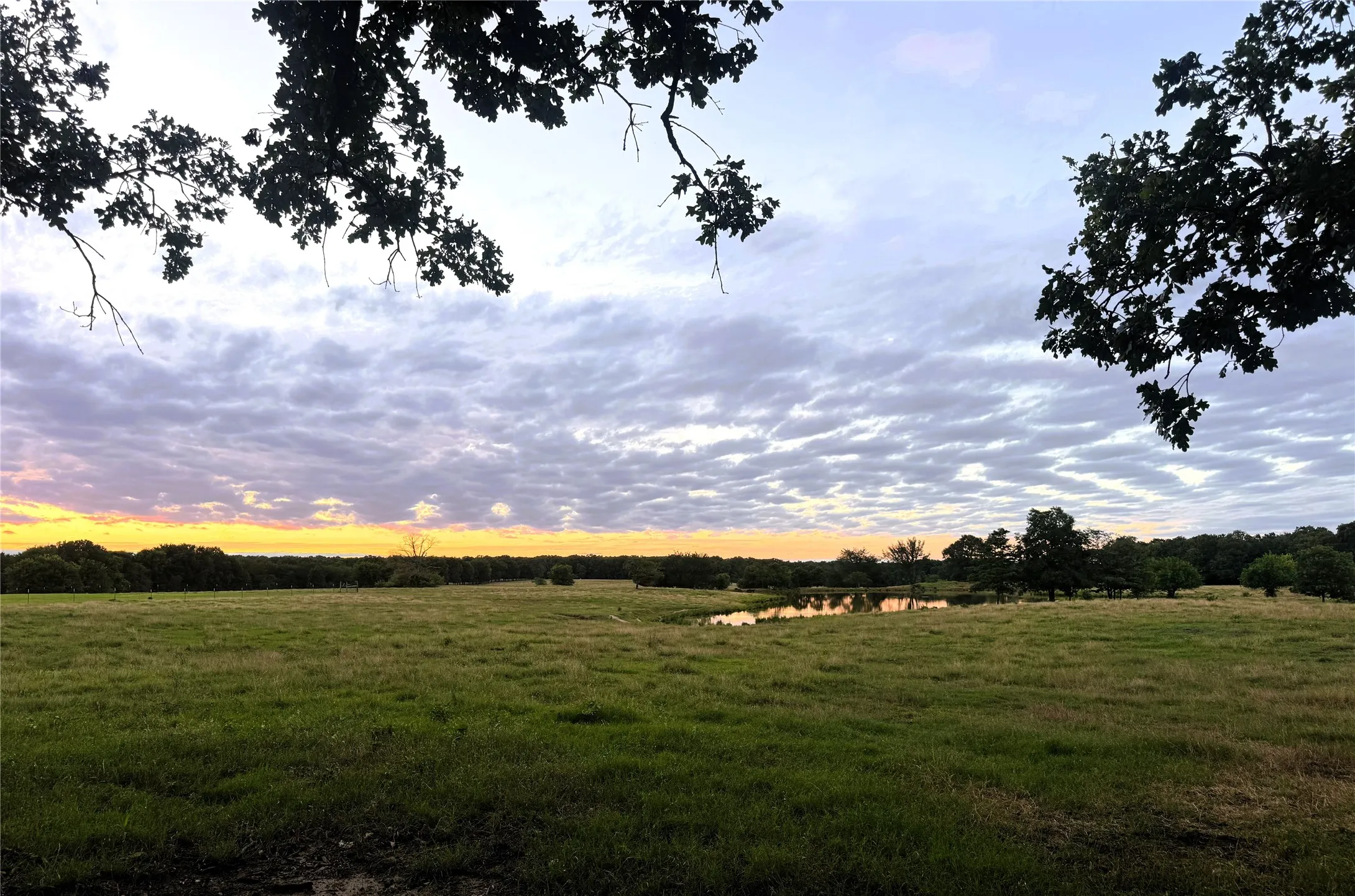Improved Land For Sale in Lamar County , 1963 County Road 44750, Blossom, Texas 75416, 0, 0, Garage spaces, 0 Sqft, built in 0, Price $875,000, mls#21319582, Real Estate Agent in Blossom, Homes For Sale in Lamar county, Homes For Sale in Blossom, Realtor in Blossom Texas, Real Estate Brokerage Independent Realty Texas, Luminita Cordes Realtor