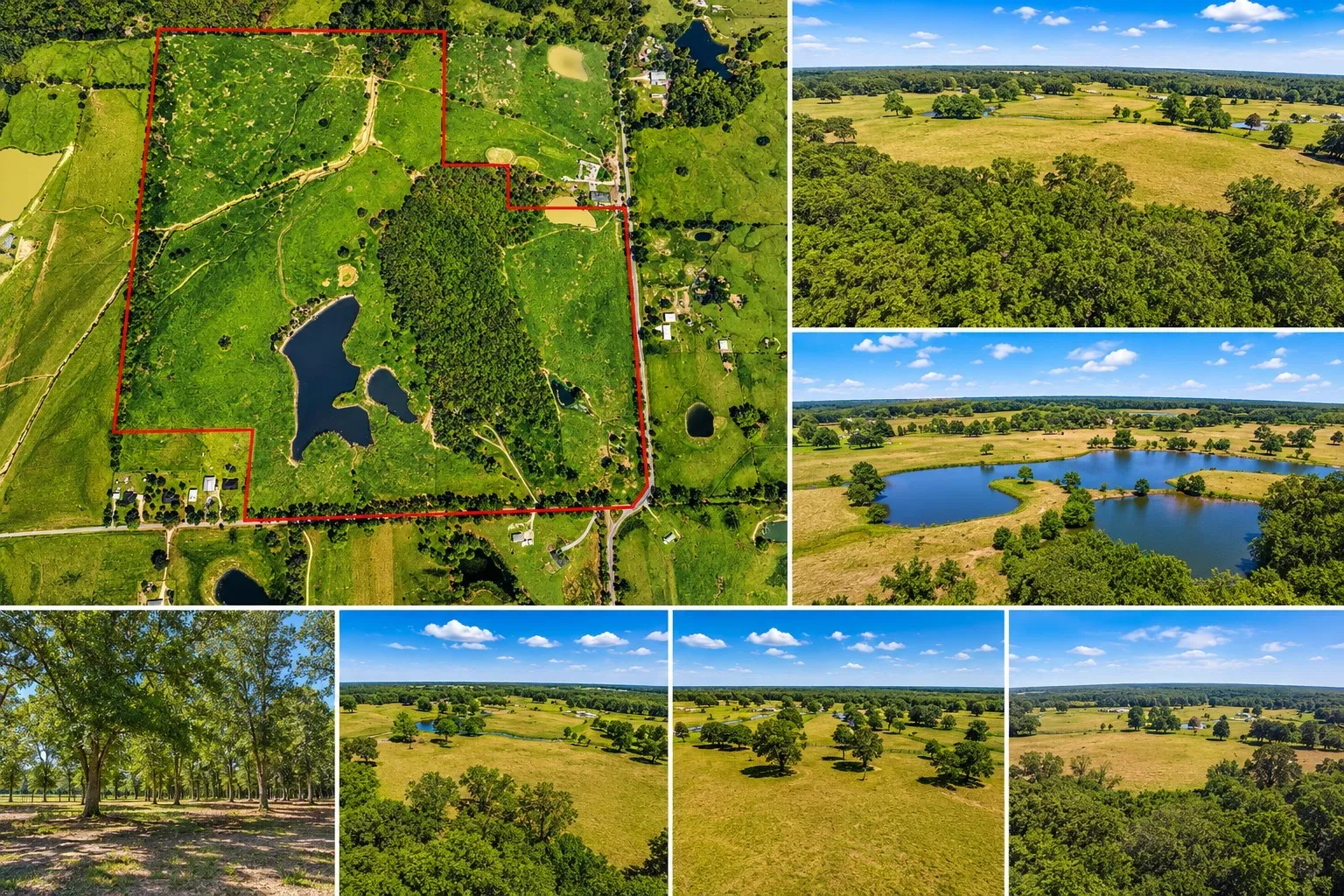 Improved Land For Sale in Lamar County , 1963 County Road 44750, Blossom, Texas 75416, 0, 0, Garage spaces, 0 Sqft, built in 0, Price $875,000, mls#21319582, Real Estate Agent in Blossom, Homes For Sale in Lamar county, Homes For Sale in Blossom, Realtor in Blossom Texas, Real Estate Brokerage Independent Realty Texas, Luminita Cordes Realtor