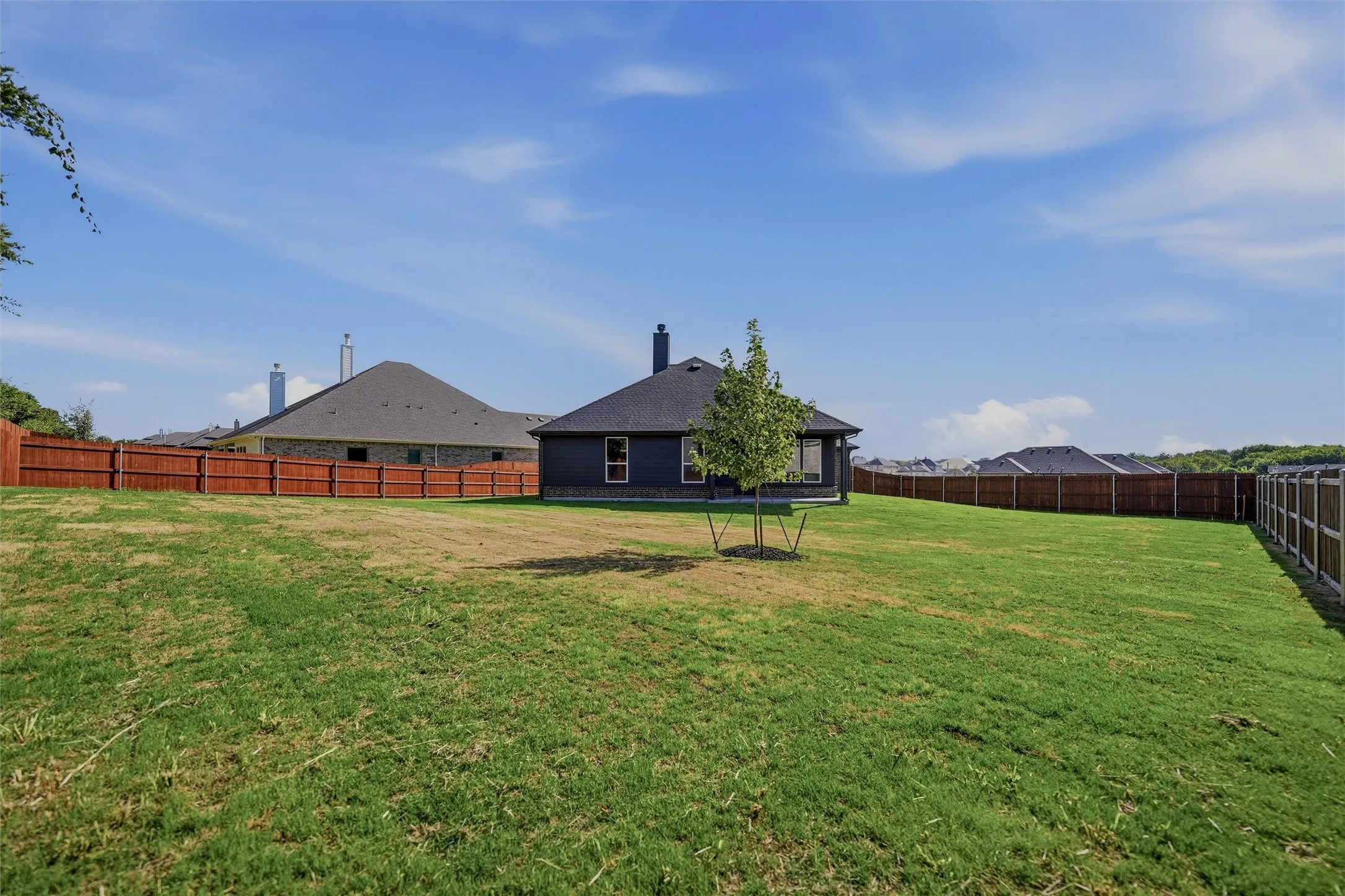 Expansive grassy backyard with a private wood fence and a young tree