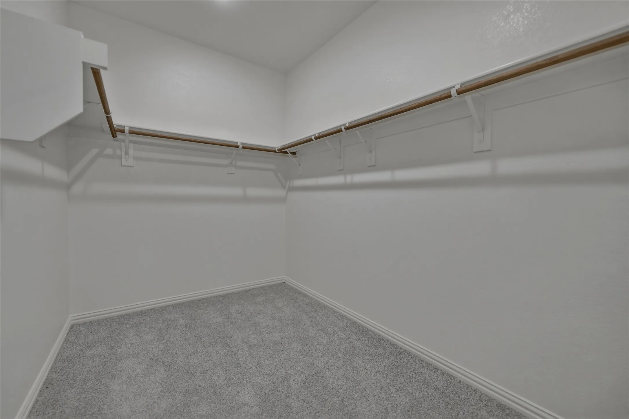Carpeted walk-in closet with perimeter shelving and hanging rods