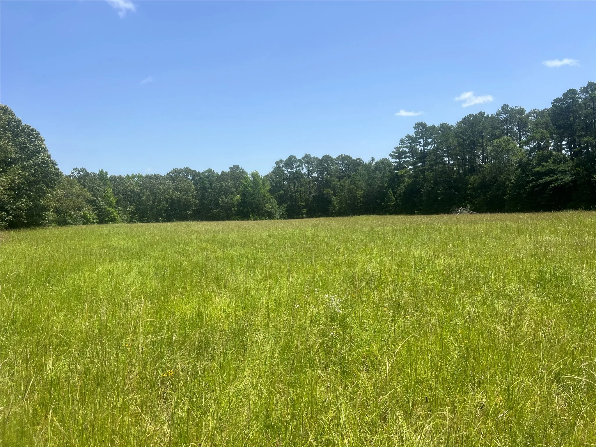 Unimproved Land For Sale in Lamar County , Tract 2 CR 44400, Powderly, Texas 75473, 0, 0, Garage spaces, 0 Sqft, built in 0, mls#21319619, Real Estate Agent in Powderly, Homes For Sale in Lamar county, Homes For Sale in Powderly, Realtor in Powderly Texas, Real Estate Brokerage Independent Realty Texas, Luminita Cordes Realtor