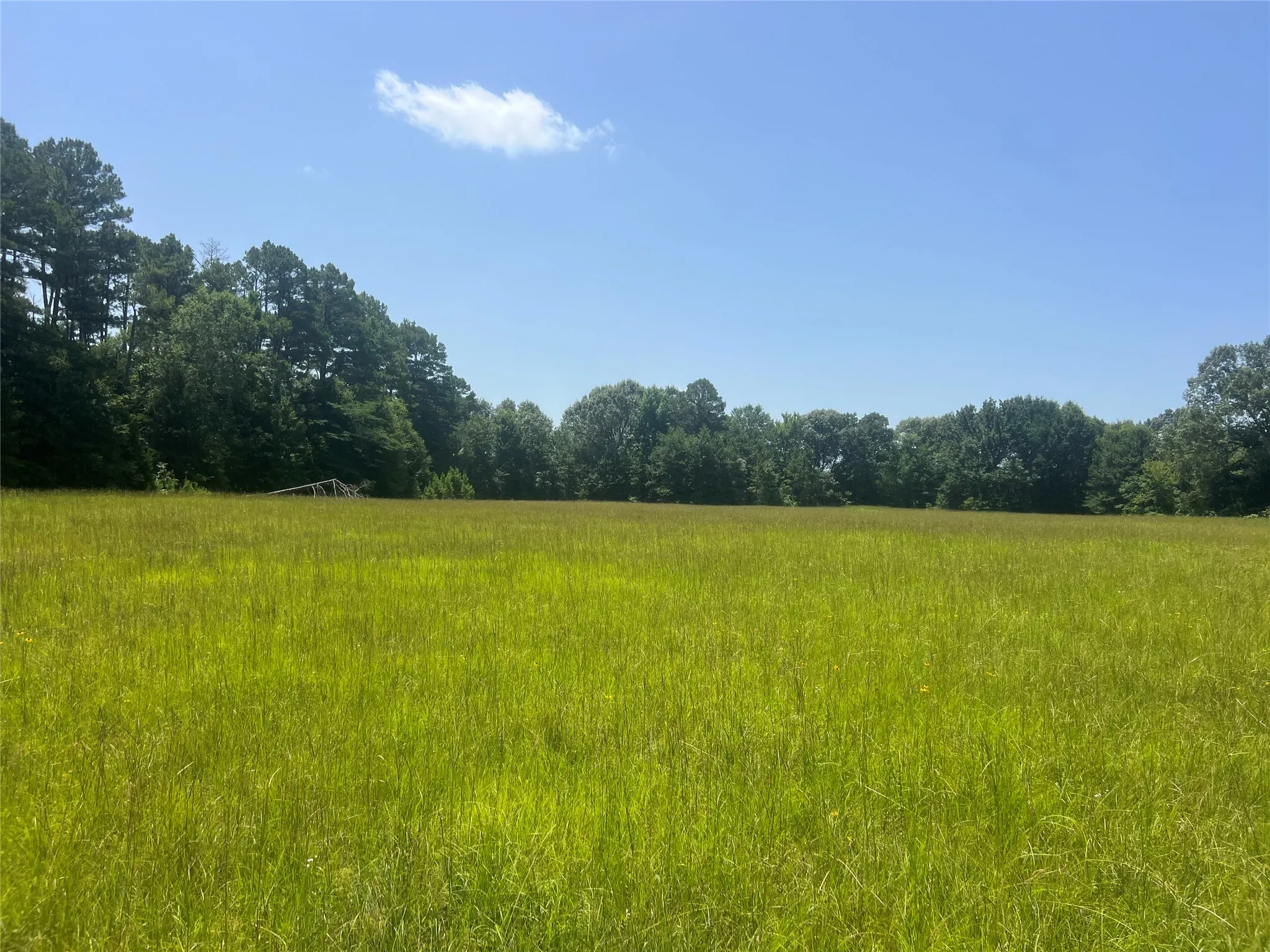 Unimproved Land For Sale in Lamar County , Tract 2 CR 44400, Powderly, Texas 75473, 0, 0, Garage spaces, 0 Sqft, built in 0, mls#21319619, Real Estate Agent in Powderly, Homes For Sale in Lamar county, Homes For Sale in Powderly, Realtor in Powderly Texas, Real Estate Brokerage Independent Realty Texas, Luminita Cordes Realtor