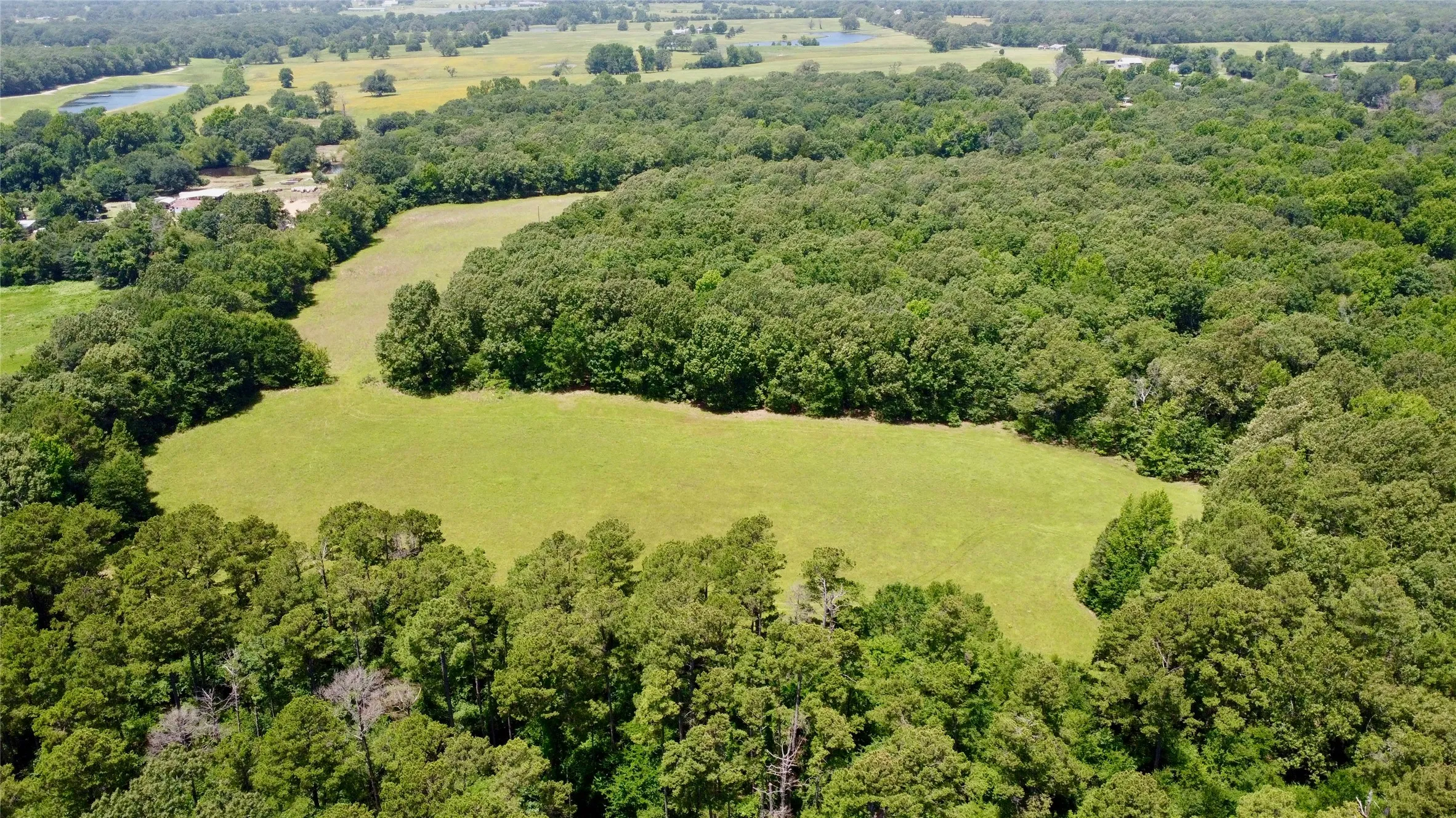 Unimproved Land For Sale in Lamar County , Tract 2 CR 44400, Powderly, Texas 75473, 0, 0, Garage spaces, 0 Sqft, built in 0, mls#21319619, Real Estate Agent in Powderly, Homes For Sale in Lamar county, Homes For Sale in Powderly, Realtor in Powderly Texas, Real Estate Brokerage Independent Realty Texas, Luminita Cordes Realtor
