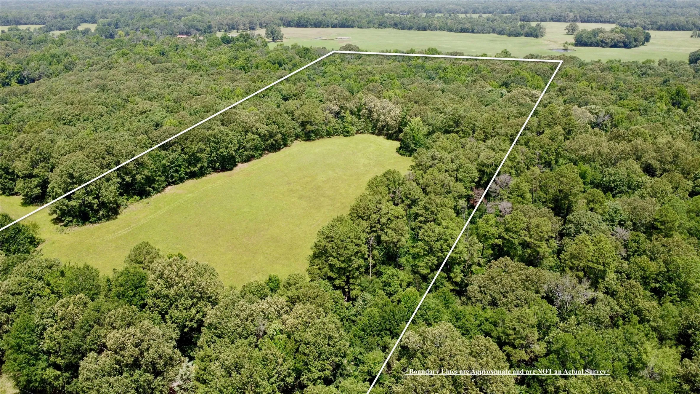 Unimproved Land For Sale in Lamar County , Tract 2 CR 44400, Powderly, Texas 75473, 0, 0, Garage spaces, 0 Sqft, built in 0, mls#21319619, Real Estate Agent in Powderly, Homes For Sale in Lamar county, Homes For Sale in Powderly, Realtor in Powderly Texas, Real Estate Brokerage Independent Realty Texas, Luminita Cordes Realtor