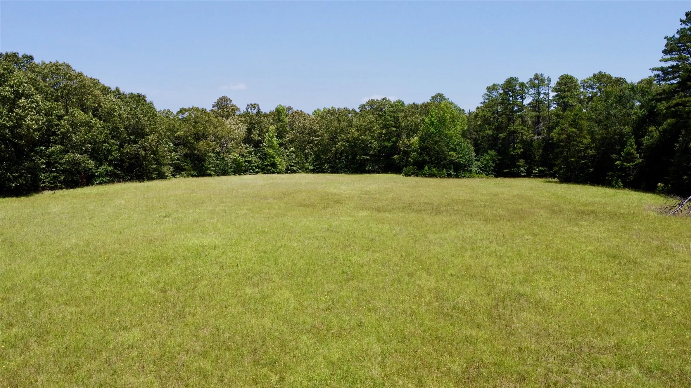 Unimproved Land For Sale in Lamar County , Tract 2 CR 44400, Powderly, Texas 75473, 0, 0, Garage spaces, 0 Sqft, built in 0, mls#21319619, Real Estate Agent in Powderly, Homes For Sale in Lamar county, Homes For Sale in Powderly, Realtor in Powderly Texas, Real Estate Brokerage Independent Realty Texas, Luminita Cordes Realtor
