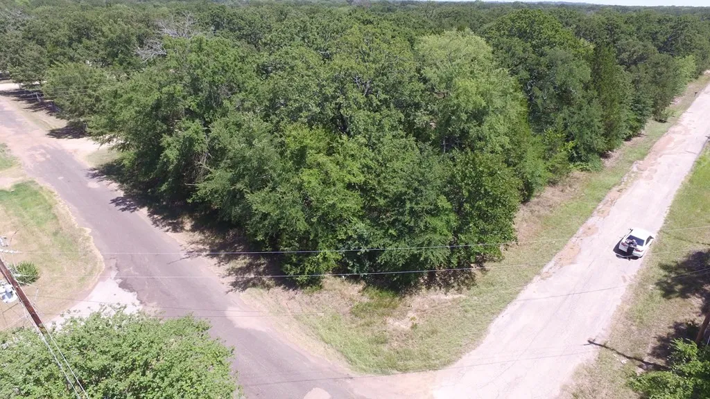 Unimproved Land For Sale in Henderson County , 0 Mustang Drive, Mabank, Texas 75156, 0, 0, Garage spaces, 0 Sqft, built in 0, mls#21319631, Real Estate Agent in Mabank, Homes For Sale in Henderson county, Homes For Sale in Mabank, Realtor in Mabank Texas, Real Estate Brokerage Independent Realty Texas, Luminita Cordes Realtor
