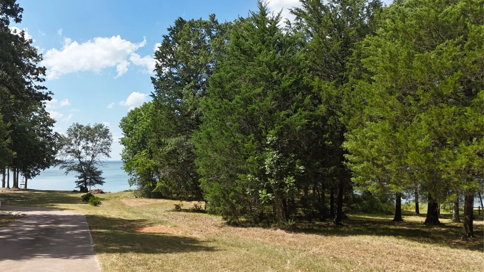 Unimproved Land For Sale in Freestone County , Lot 81 Appomattox, Streetman, Texas 75859, 0, 0, Garage spaces, 0 Sqft, built in 0, Price $495,000, mls#21307541, Real Estate Agent in Streetman, Homes For Sale in Freestone county, Homes For Sale in Streetman, Realtor in Streetman Texas, Real Estate Brokerage Independent Realty Texas, Luminita Cordes Realtor
